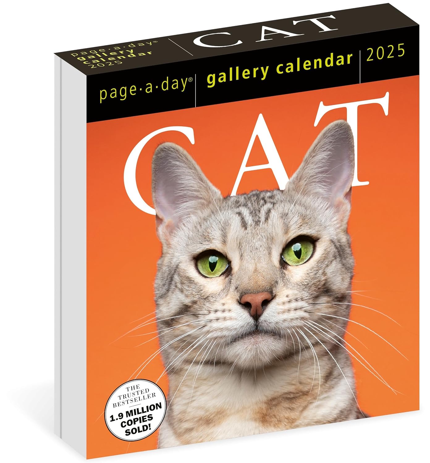 2025 Cat - Daily Boxed Page-A-Day Calendar