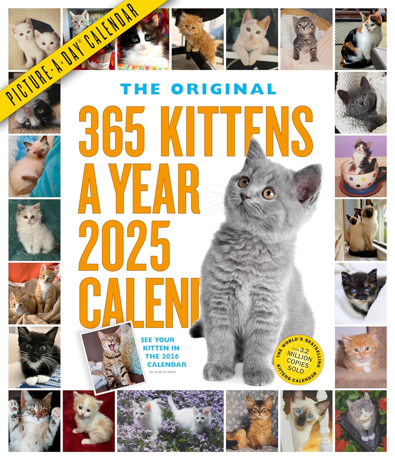 2025 365 Kittens-A-Year Picture-A-Day - Deluxe Wall Calendar