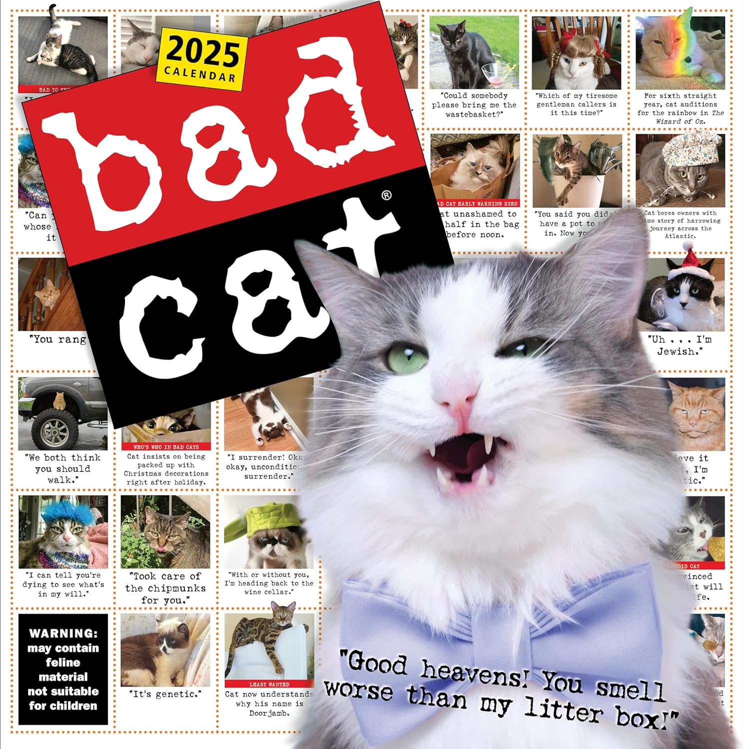 2025 Bad Cat - Square Wall Calendar