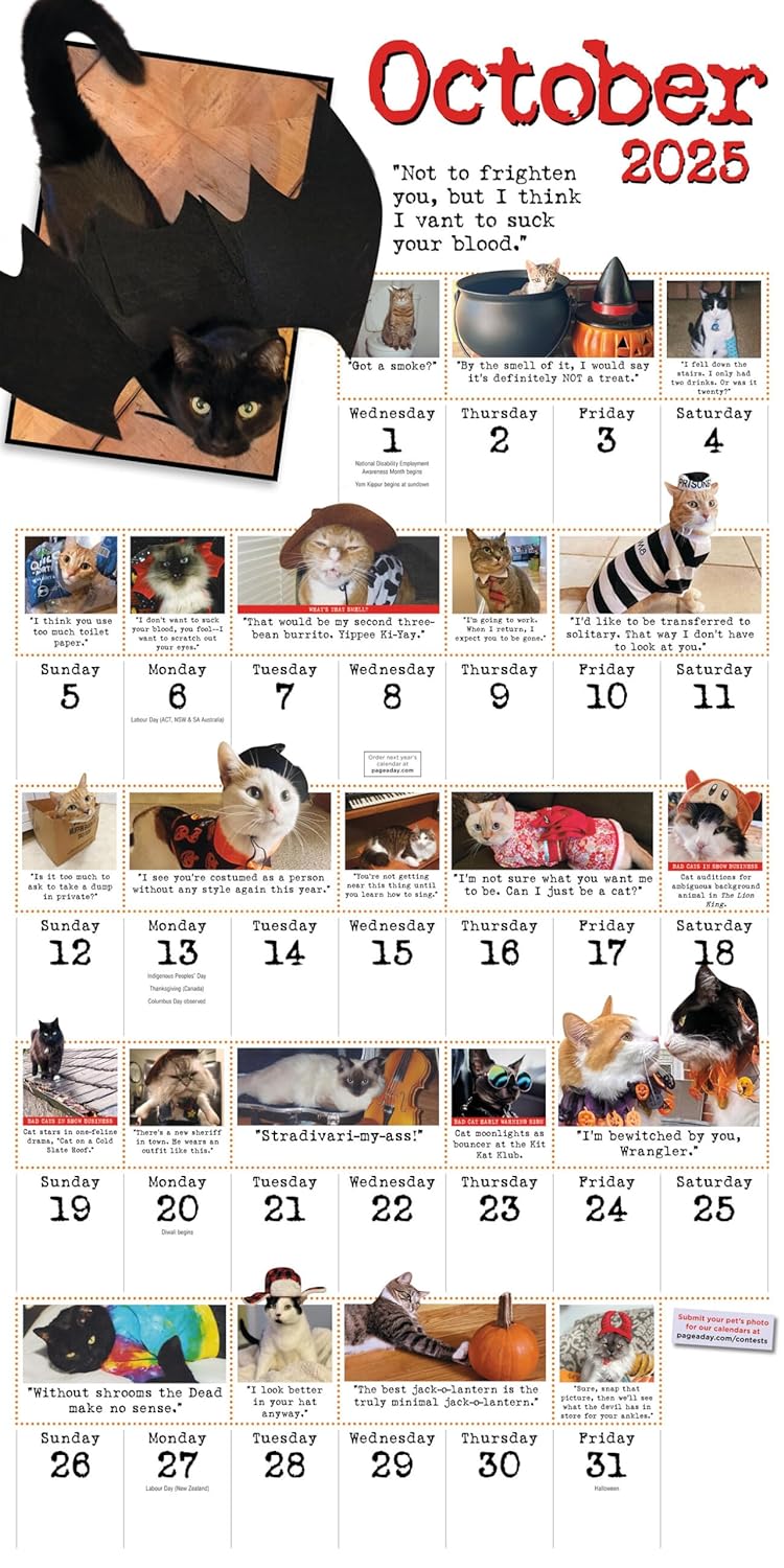 Bad Cat Calendar 2025 The Artful