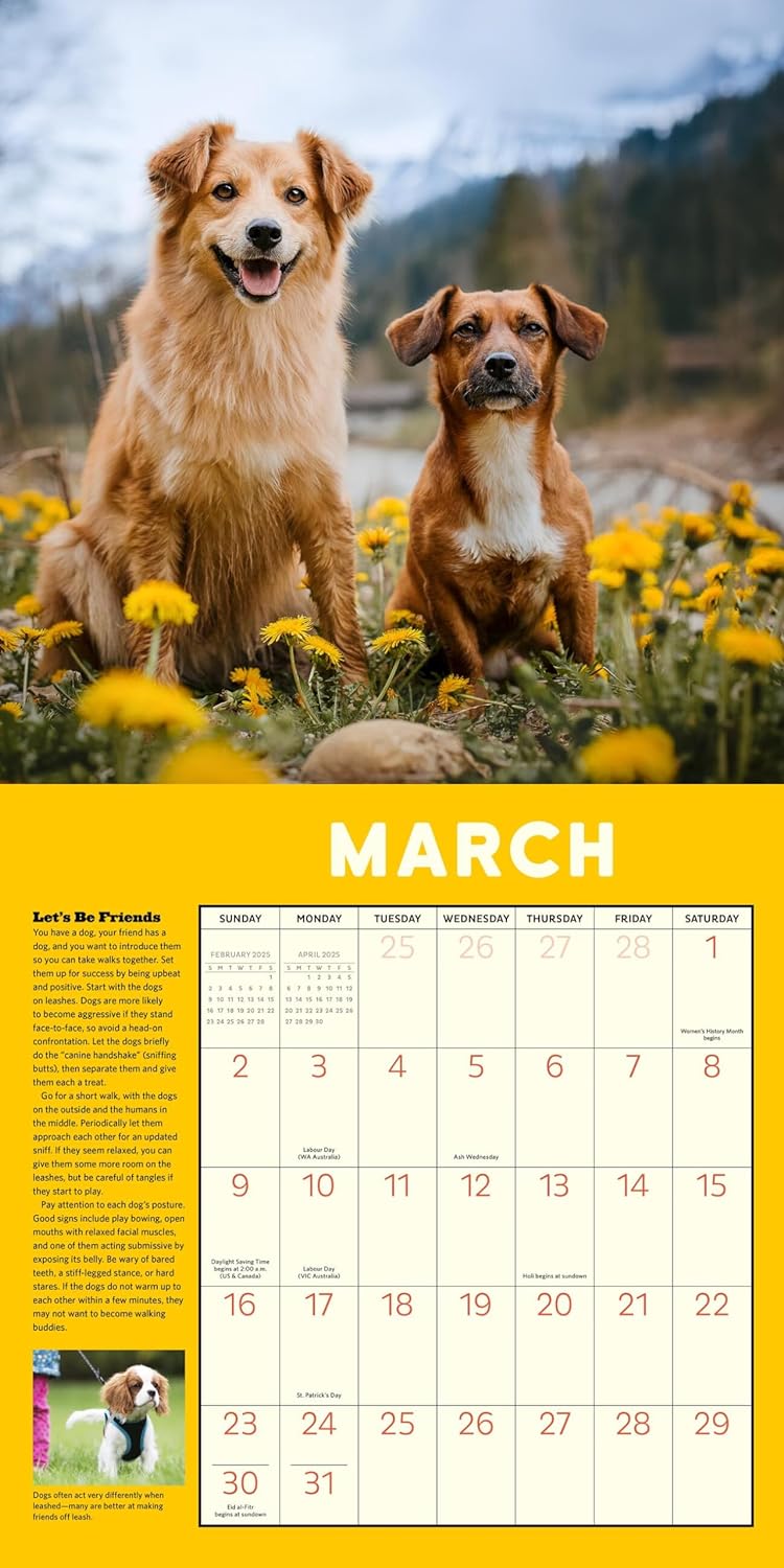 2025 How to Speak Dog - Square Wall Calendar