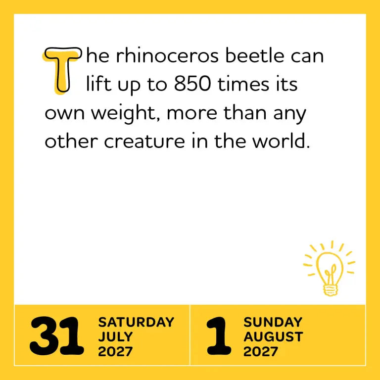 2027 Interesting Facts for Curious Minds - Daily Boxed Page-A-Day Calendar