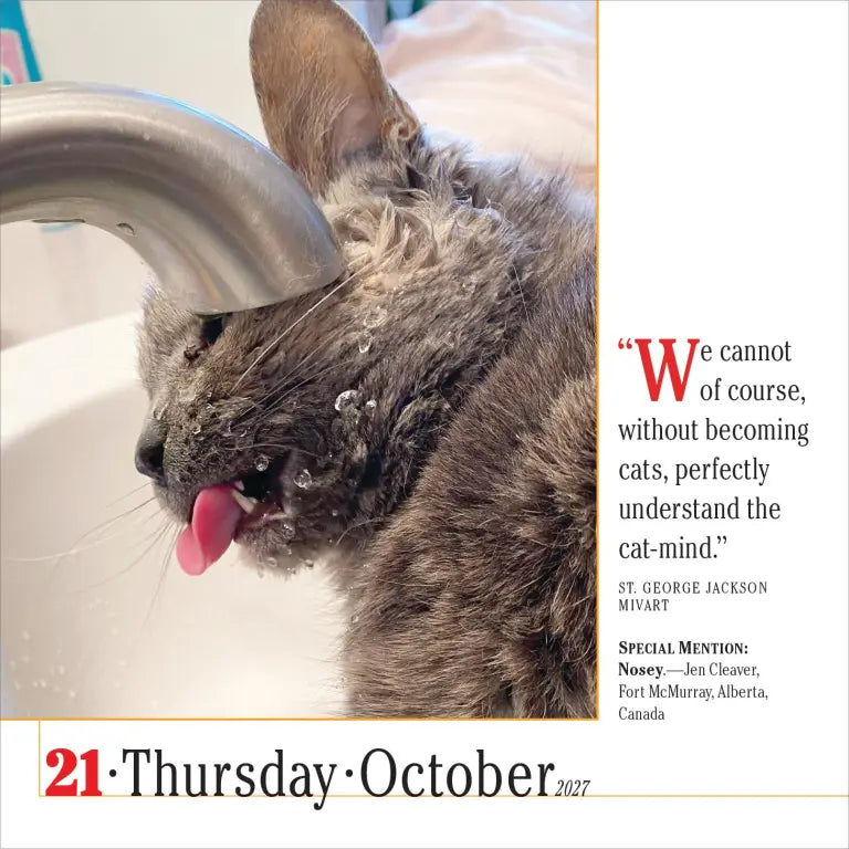 2027 365 Cats - Daily Boxed Page-A-Day Calendar