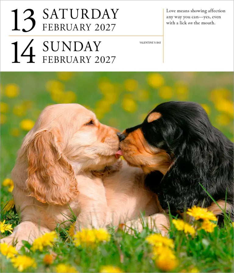 2027 Dog Gallery - Daily Boxed Page-A-Day Calendar