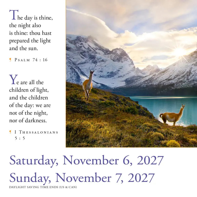 2027 365 Bible Verses-A-Year - Daily Boxed Page-A-Day Calendar