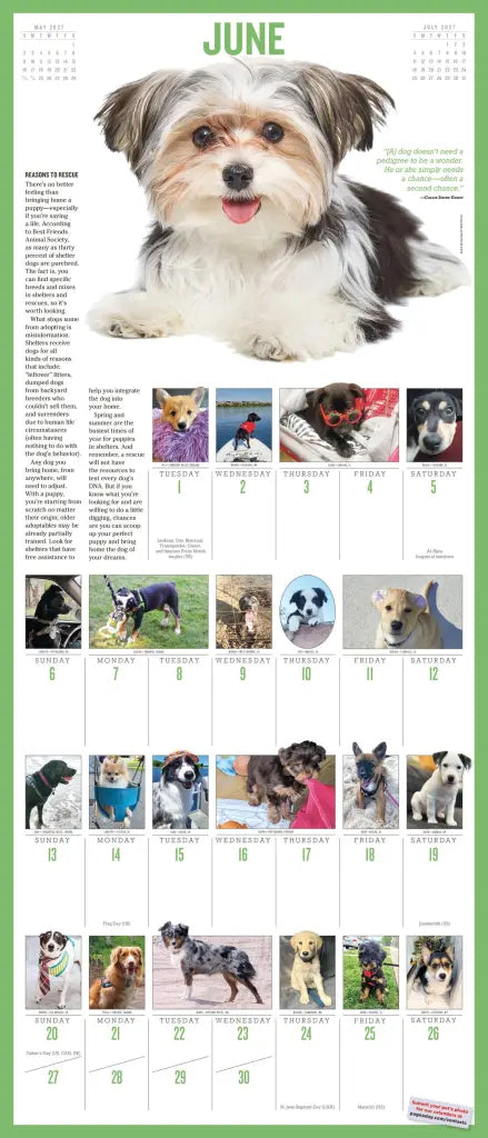 2027 365 Puppies-A-Year Picture-A-Day - Deluxe Wall Calendar