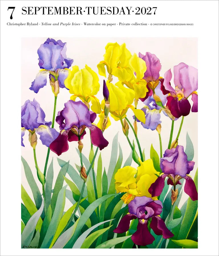 2027 Art Gallery - Daily Boxed Page-A-Day Calendar