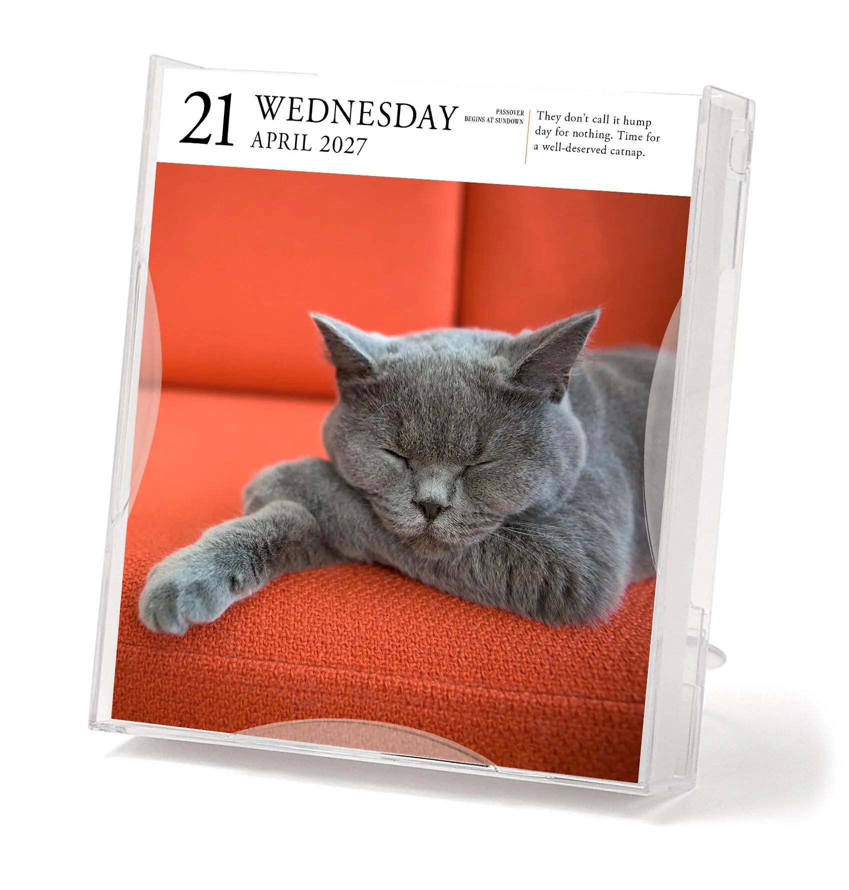 2027 Cat Gallery - Daily Boxed Page-A-Day Calendar