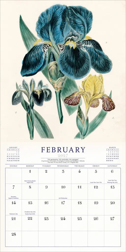 2027 World of John Derian - Square Wall Calendar