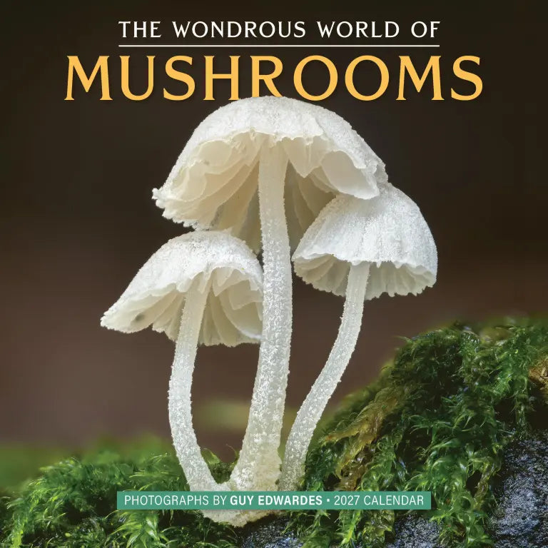 2027 Wondrous World of Mushrooms - Square Wall Calendar