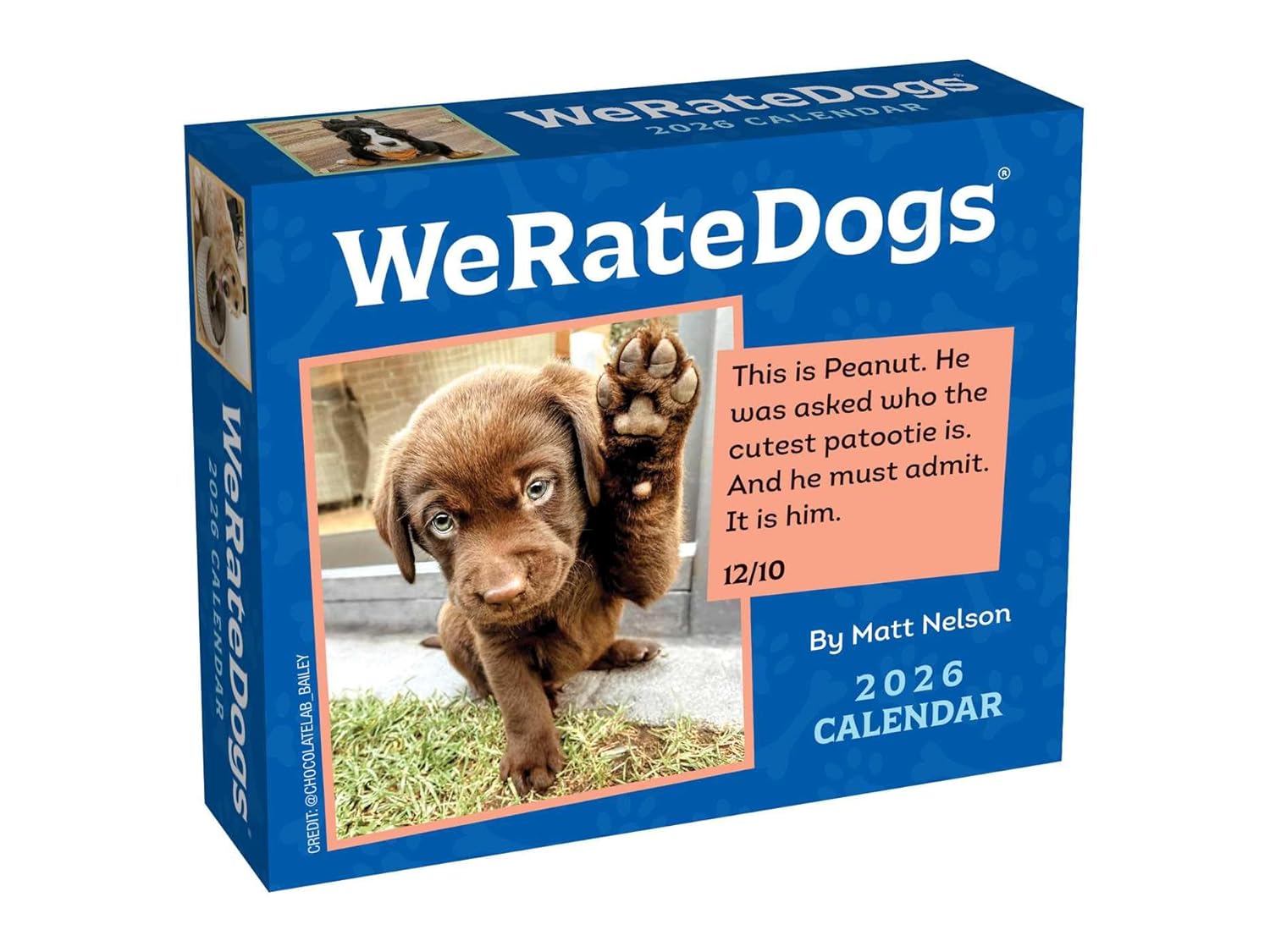 2026 WeRateDogs - Boxed Page-A-Day