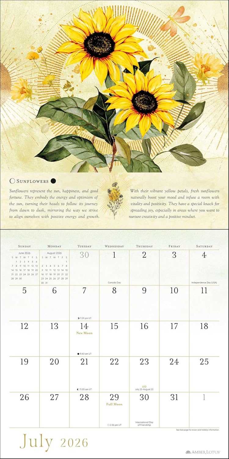 2026 Year of the Witch - Square Wall Calendar