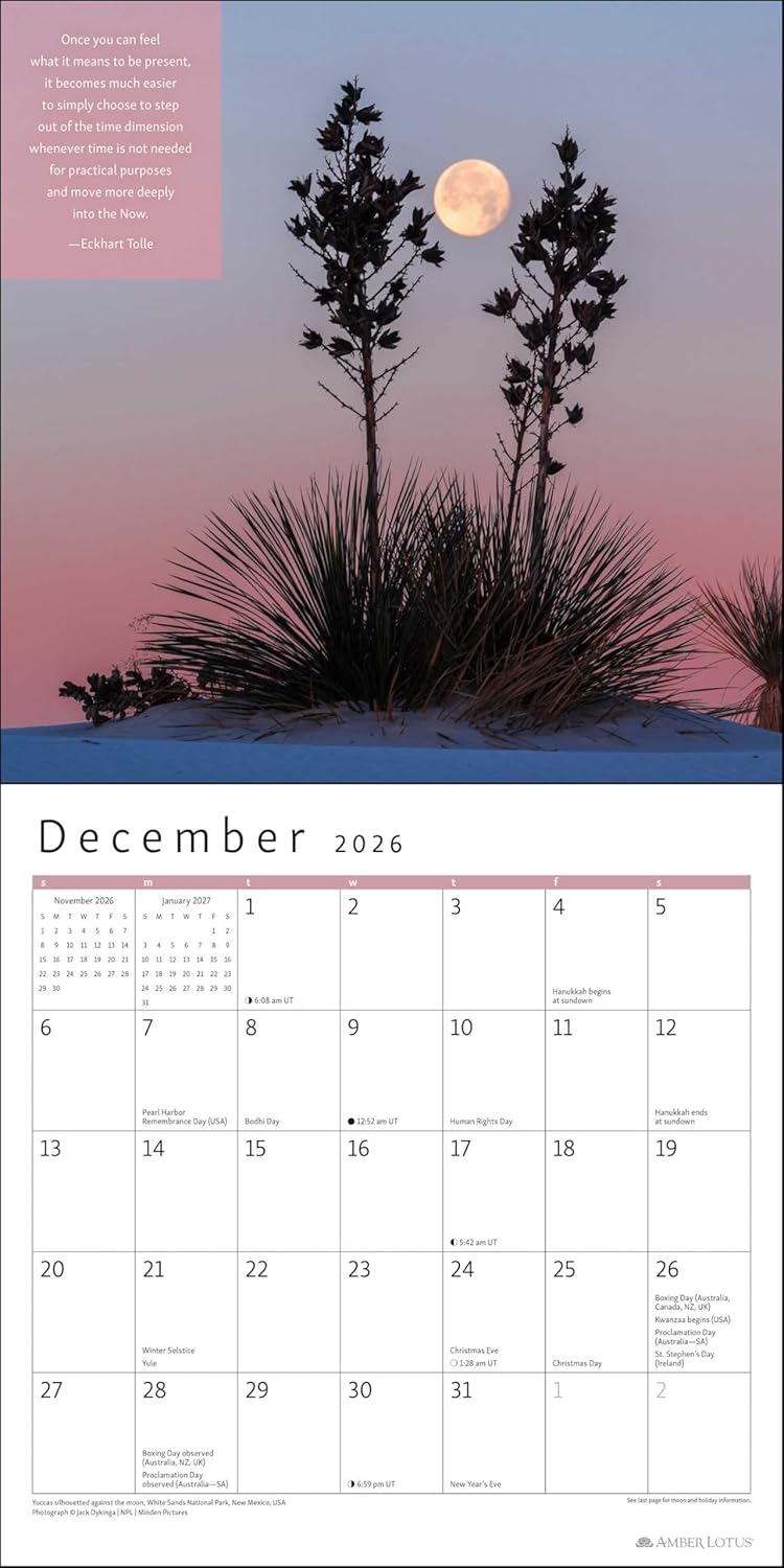 2026 Power of Now: Eckhart Tolle - Square Wall Calendar