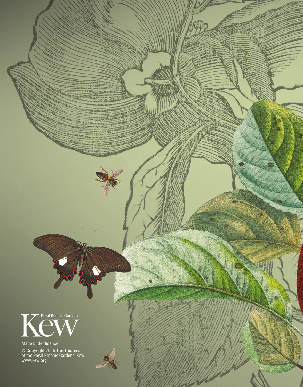 2027 Royal Botanic Gardens Kew Deluxe - Monthly & Weekly Diary/Planner