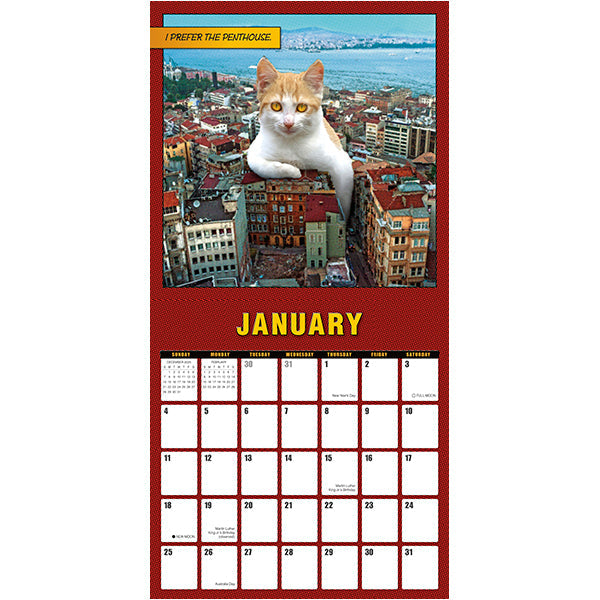 2026 Catzilla - Square Wall Calendar