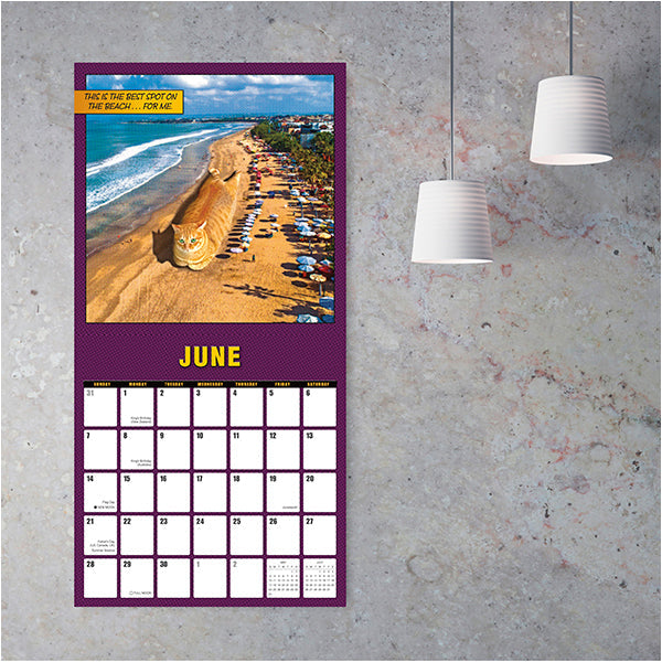 2026 Catzilla - Square Wall Calendar