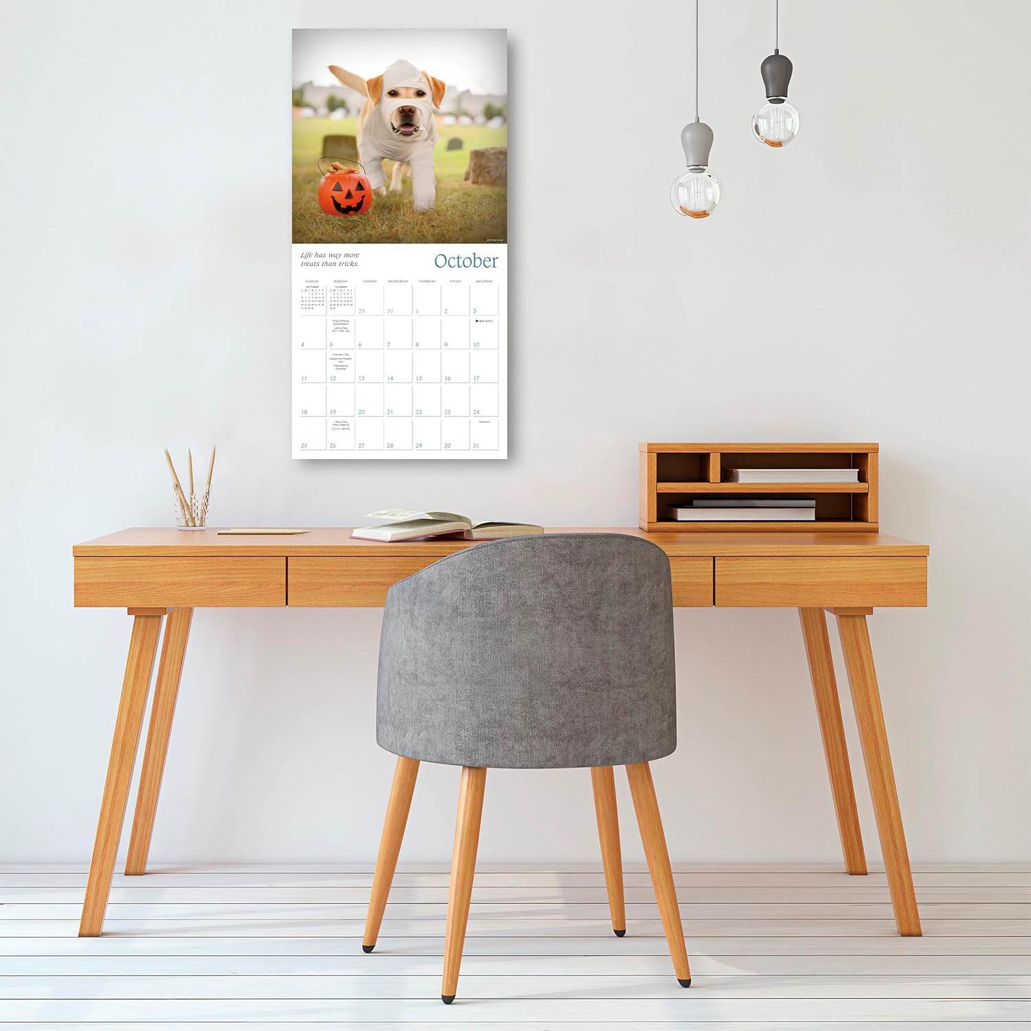 2026 Dogma: A Dog's Guide to Life - Square Wall Calendar