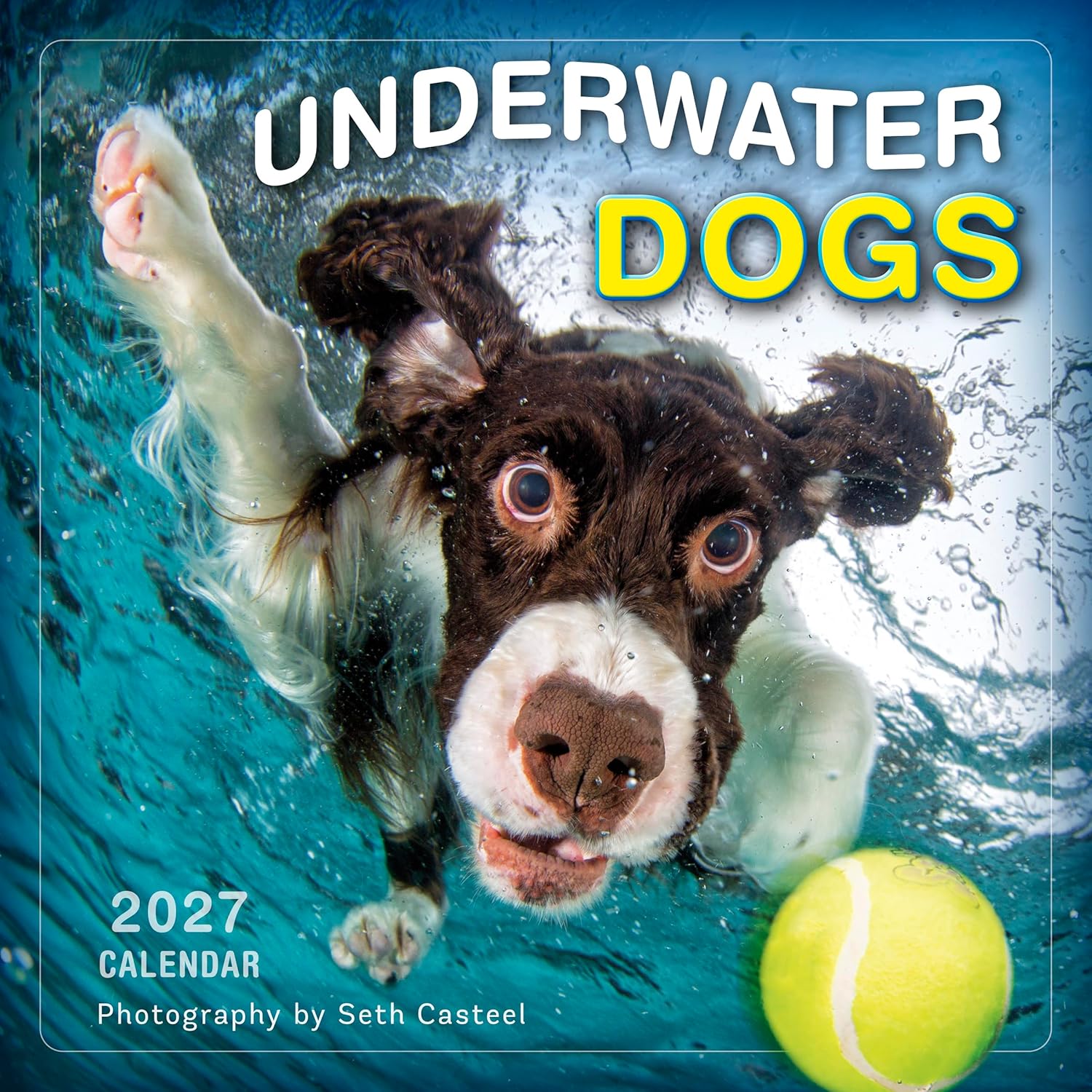 2027 Underwater Dogs: Seth Casteel - Square Wall Calendar