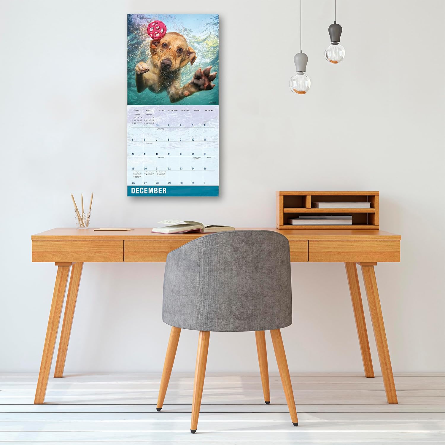 2027 Underwater Dogs: Seth Casteel - Square Wall Calendar
