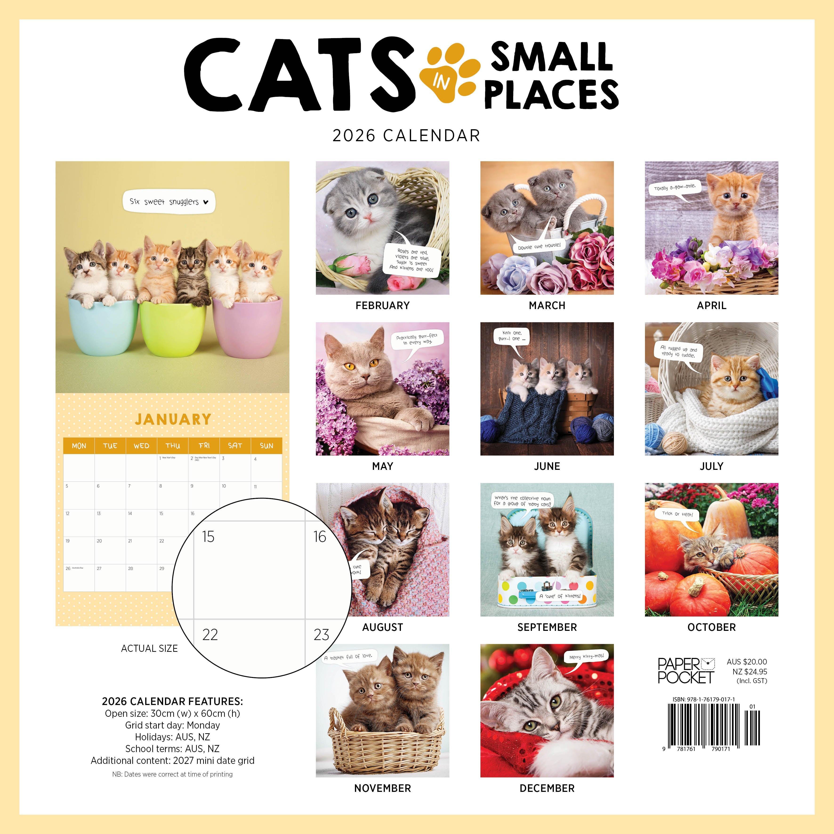 2026 Cats In Small Places - Square Wall Calendar