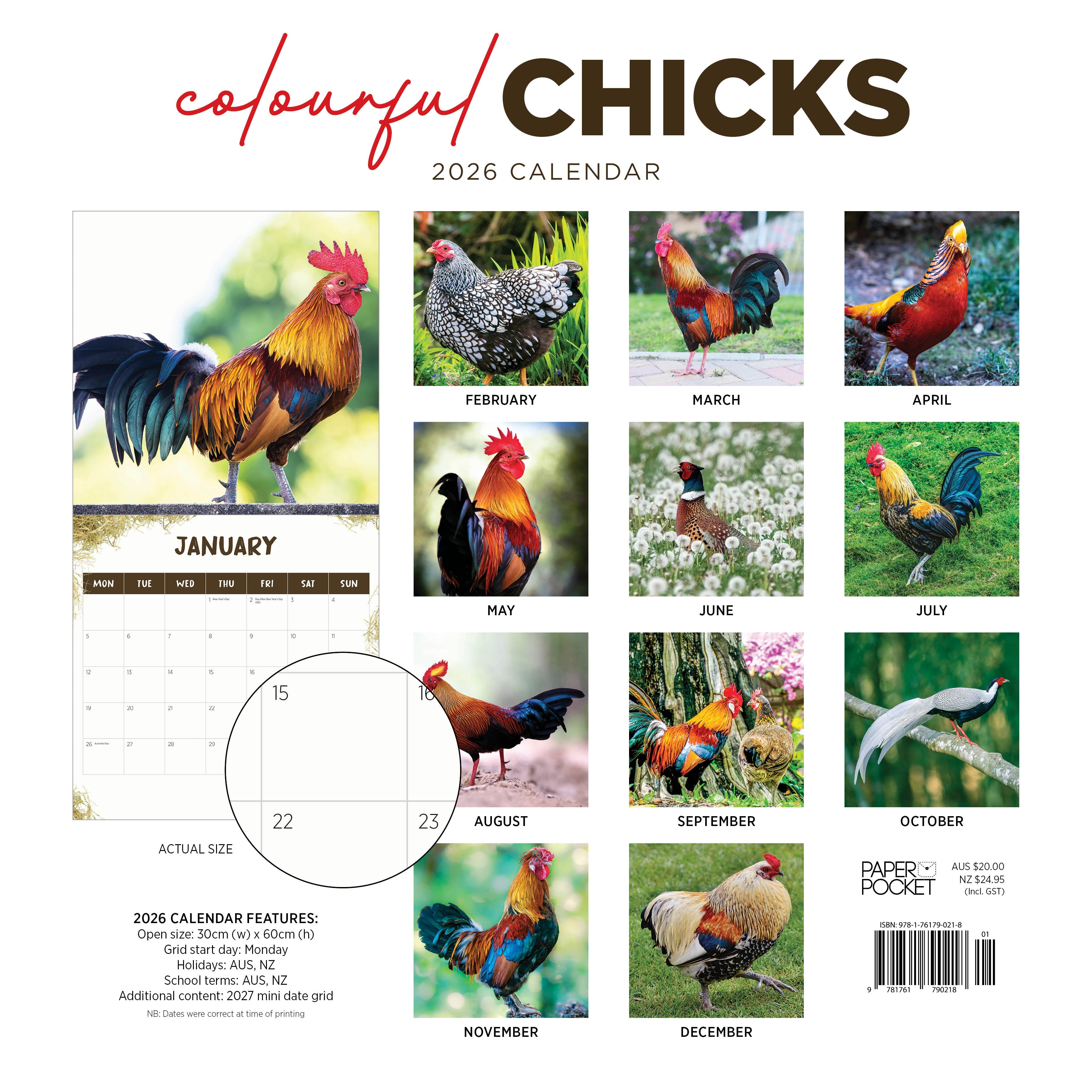 2026 Colourful Chicks - Square Wall Calendar
