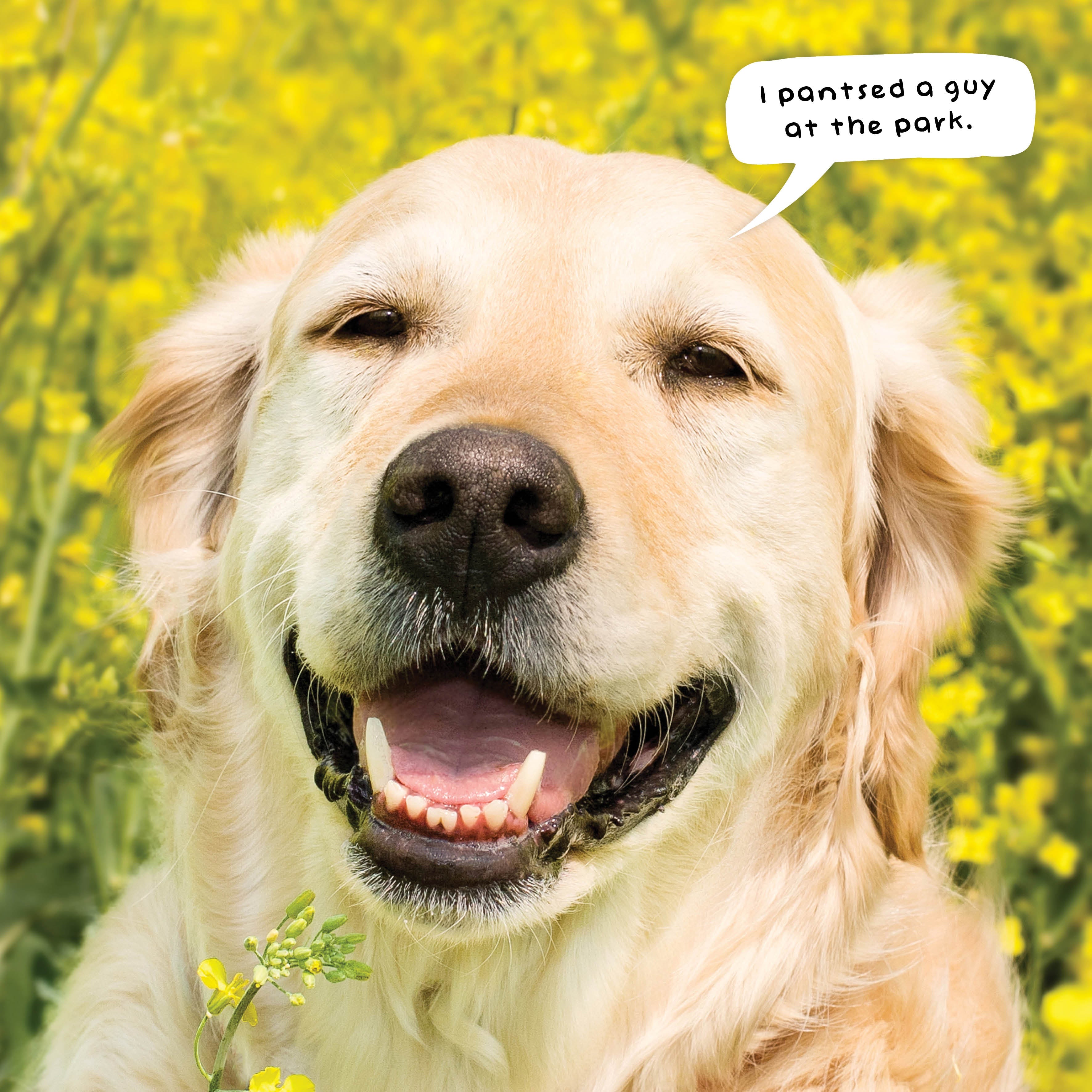 2026 Doggy Shenanigans - Square Wall Calendar