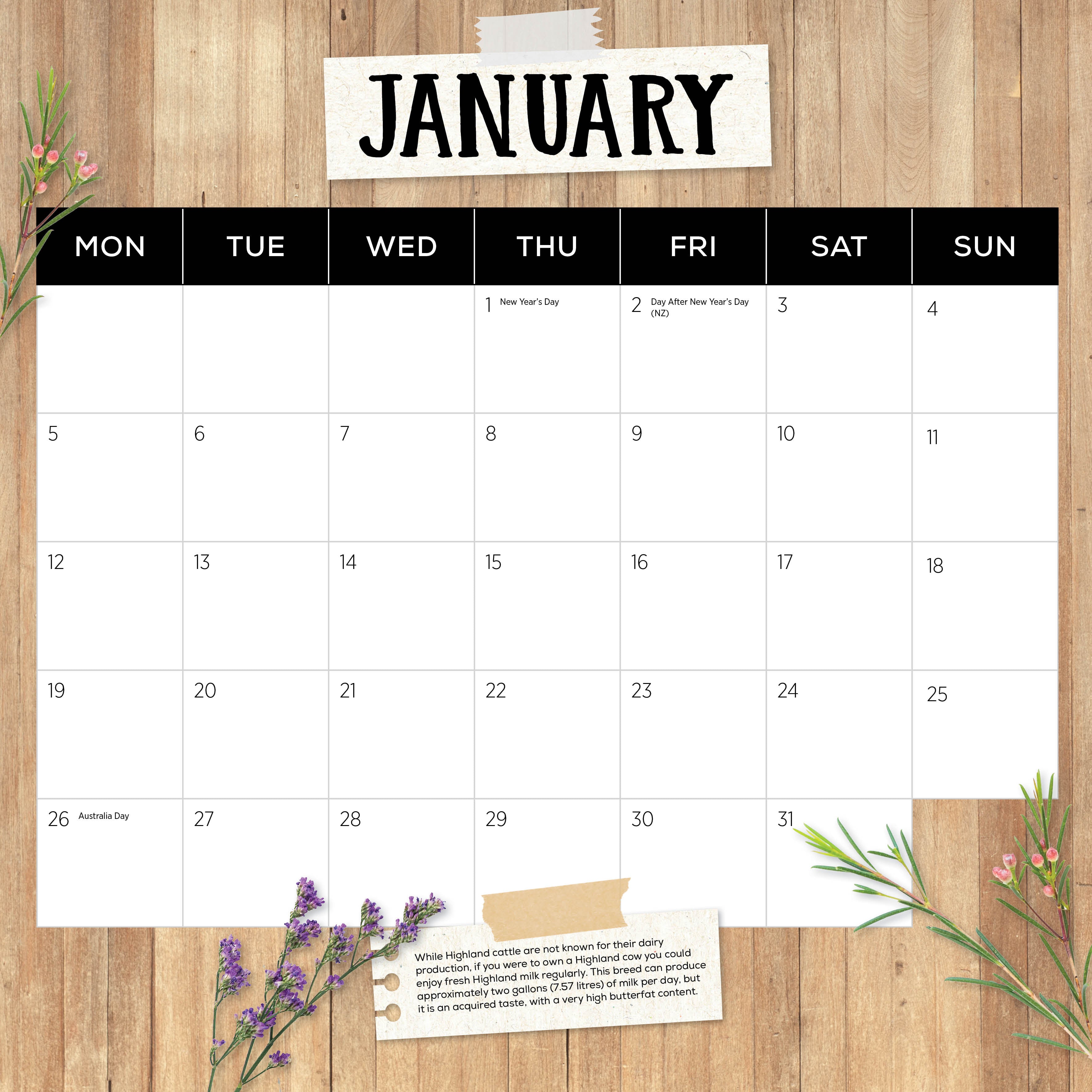 2026 Highland Cows - Square Wall Calendar