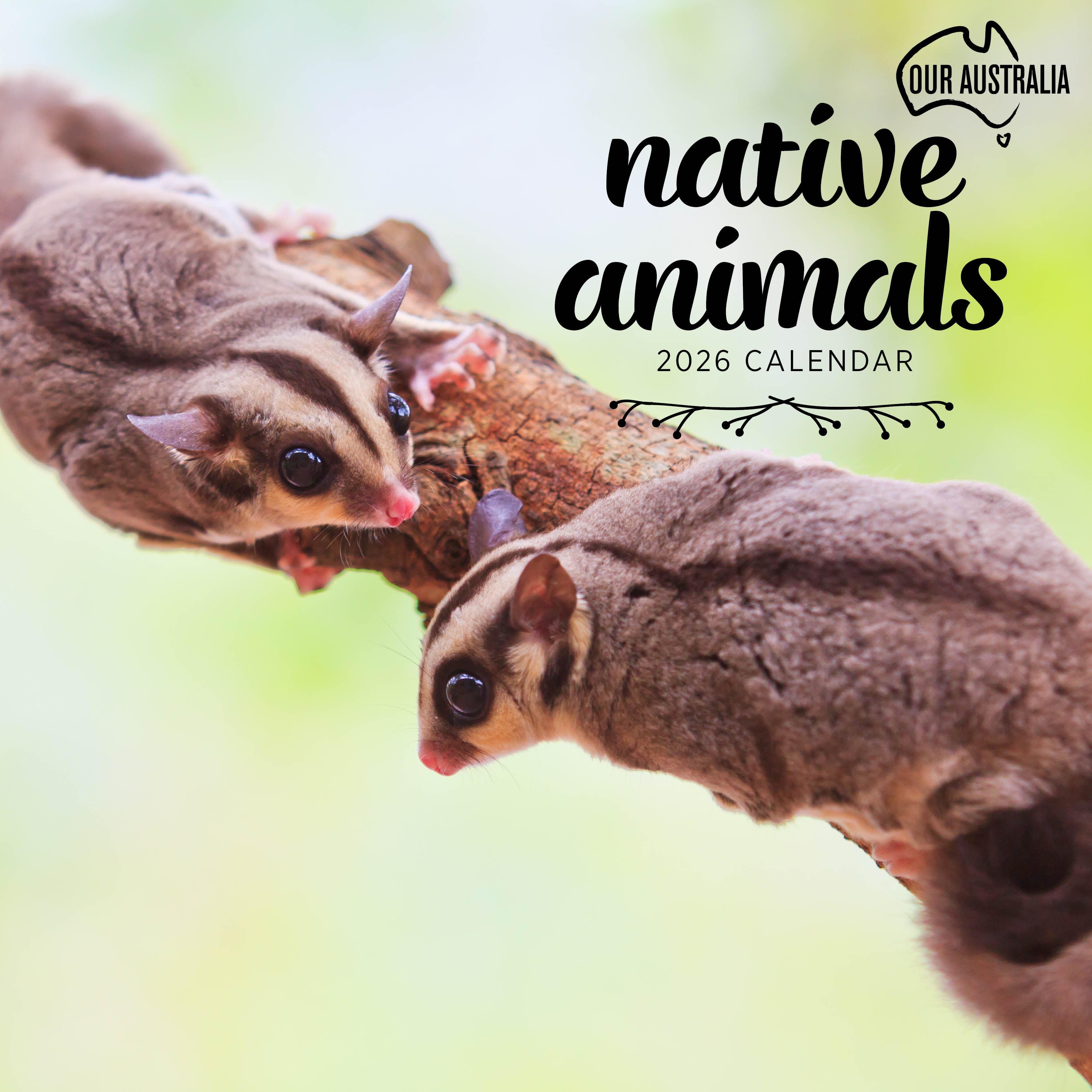 2026 Our Australia Native Animals - Square Wall Calendar