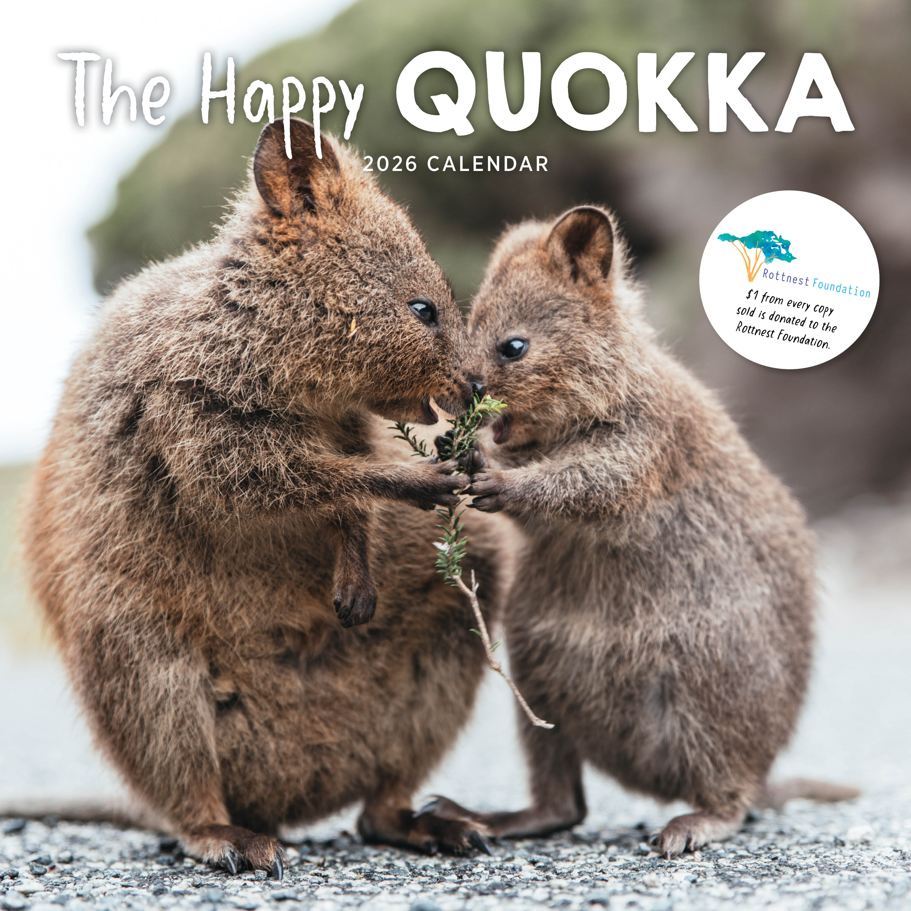 2026 The Happy Quokka - Square Wall Calendar