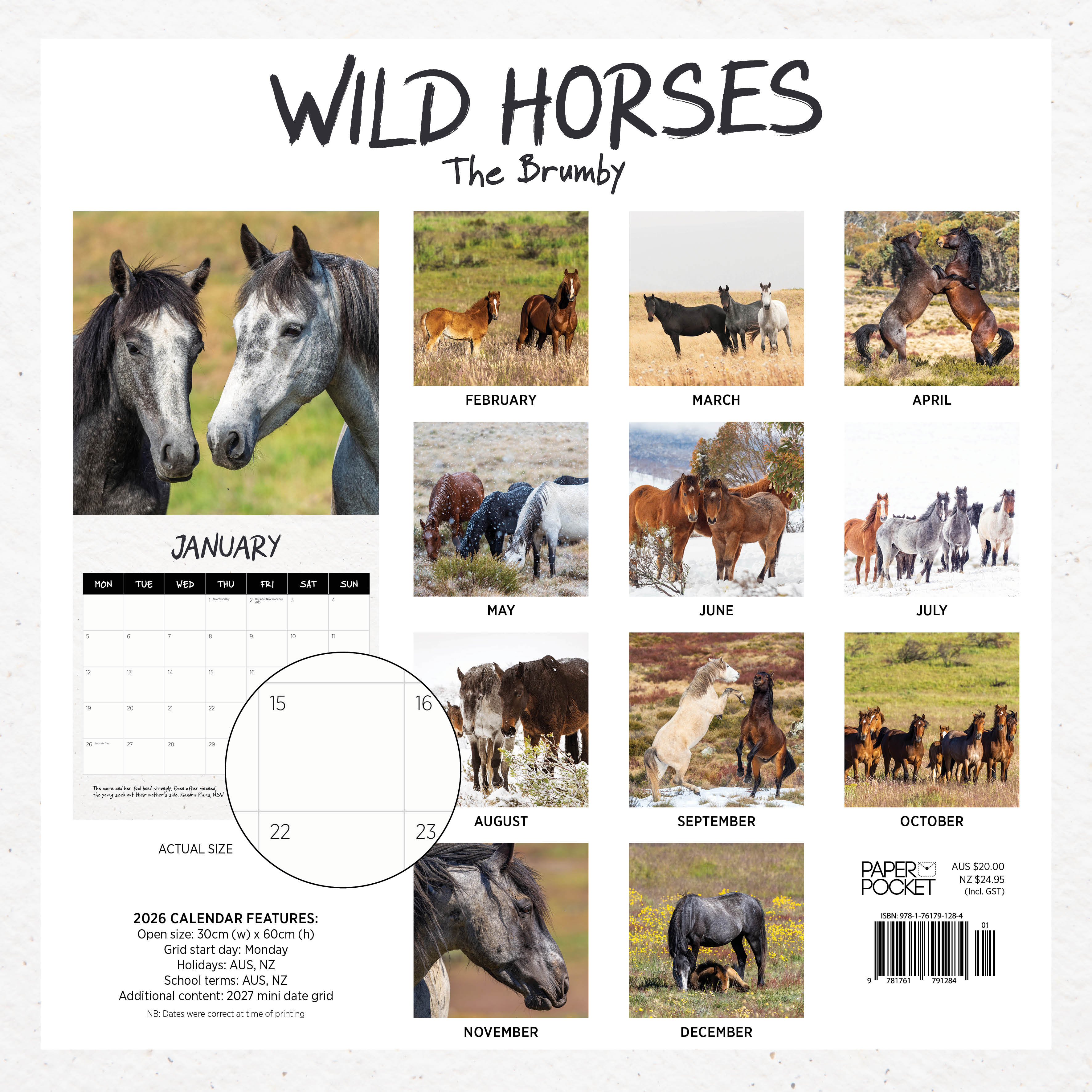 2026 Wild Horses (The Brumby) - Square Wall Calendar