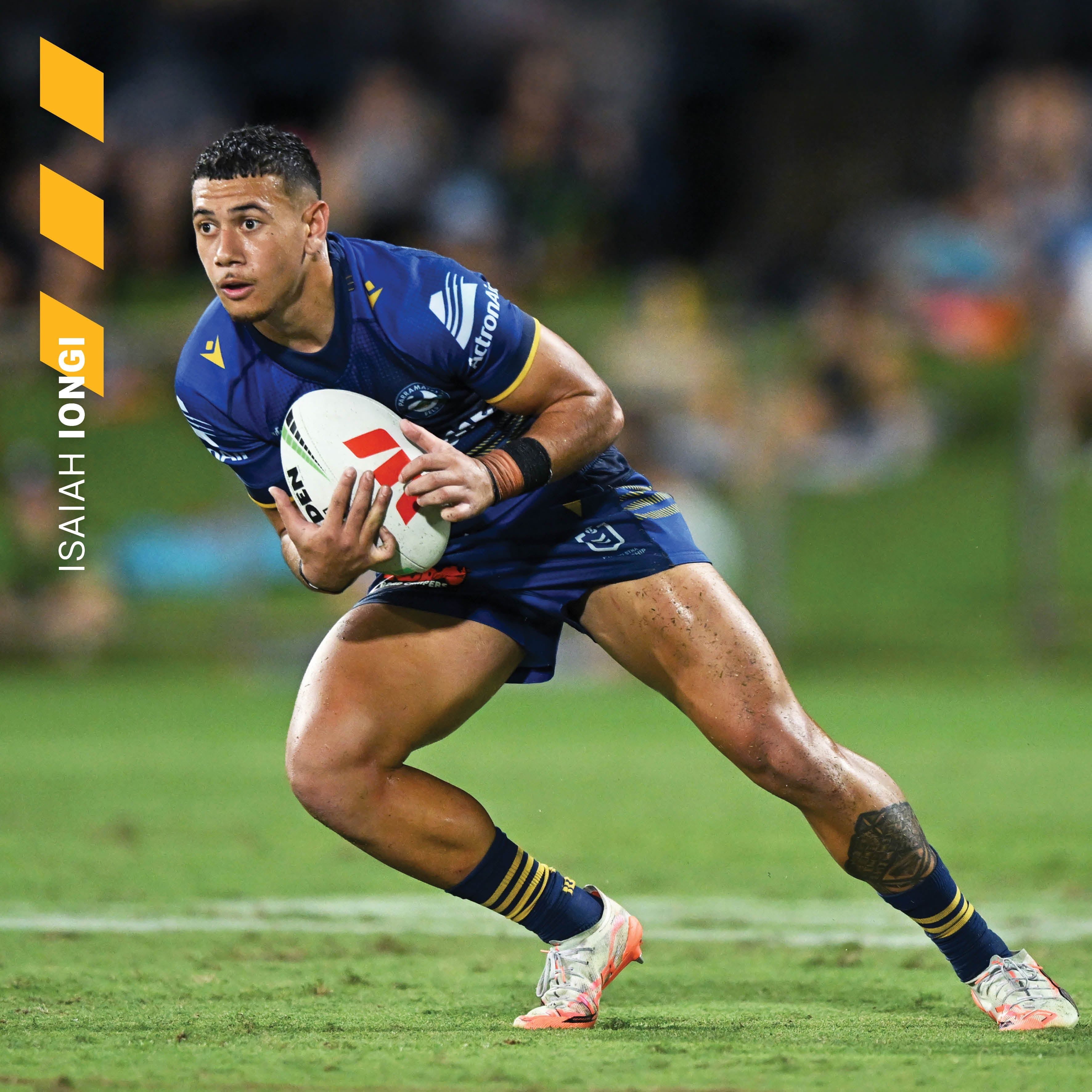 2026 NRL Parramatta Eels - Square Wall Calendar