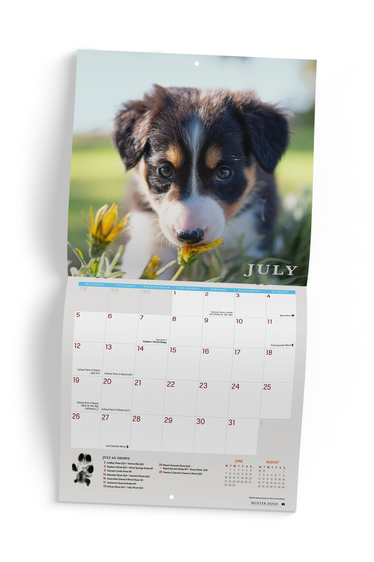 2027 ABC Muster Dogs - Square Wall Calendar — July spread