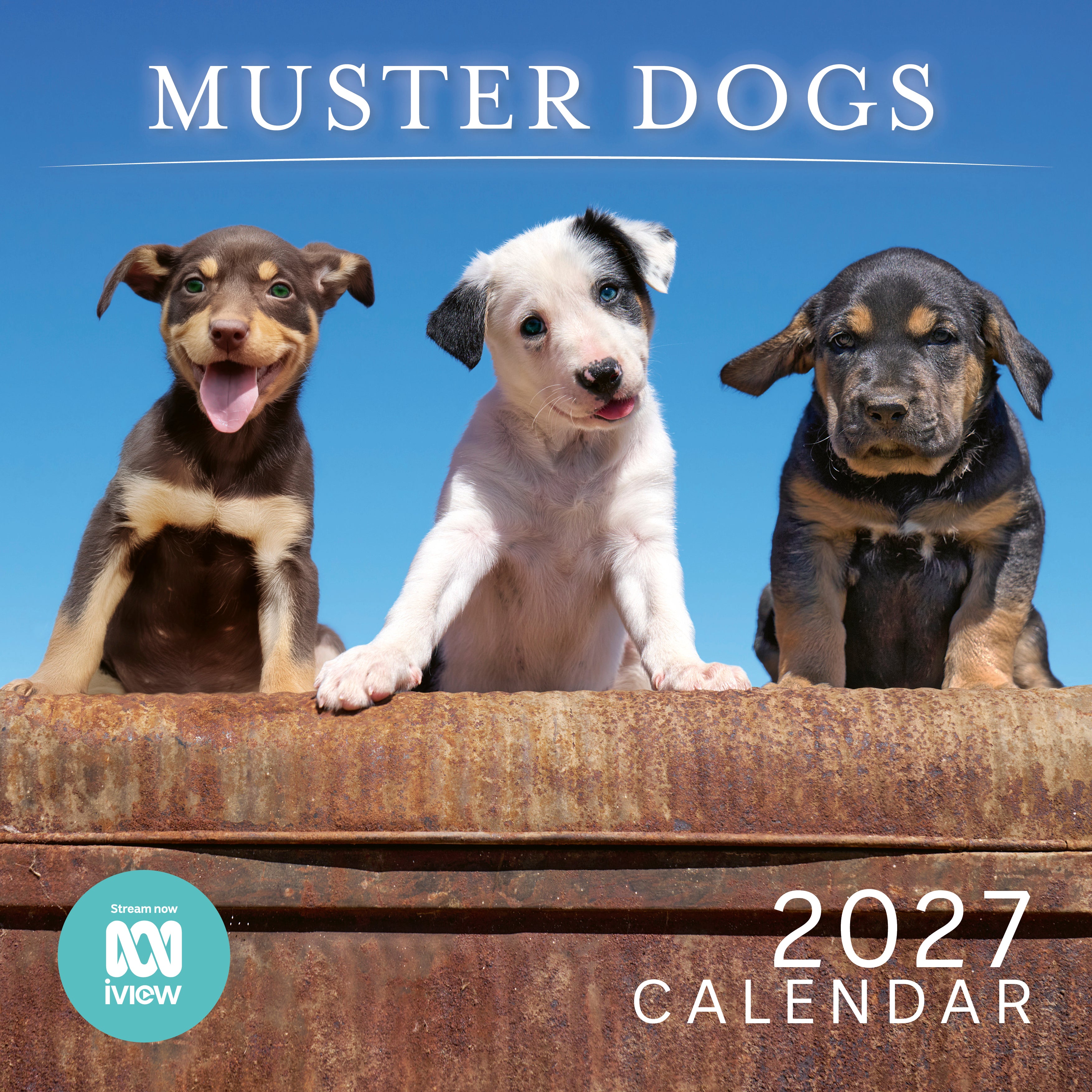 2027 ABC Muster Dogs - Square Wall Calendar