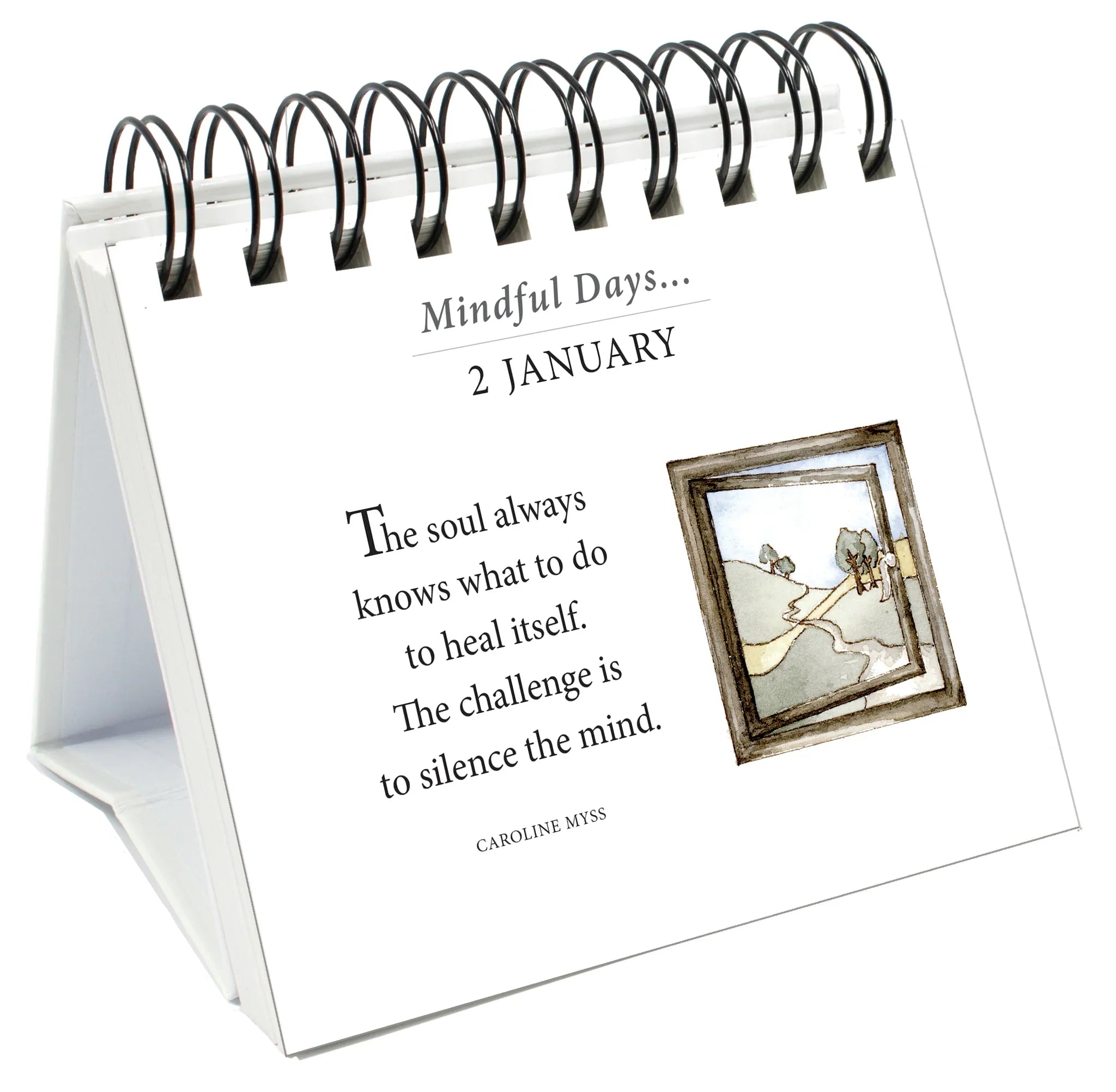 365 Mindful Days - Page-A-Day Desk Easel Calendar