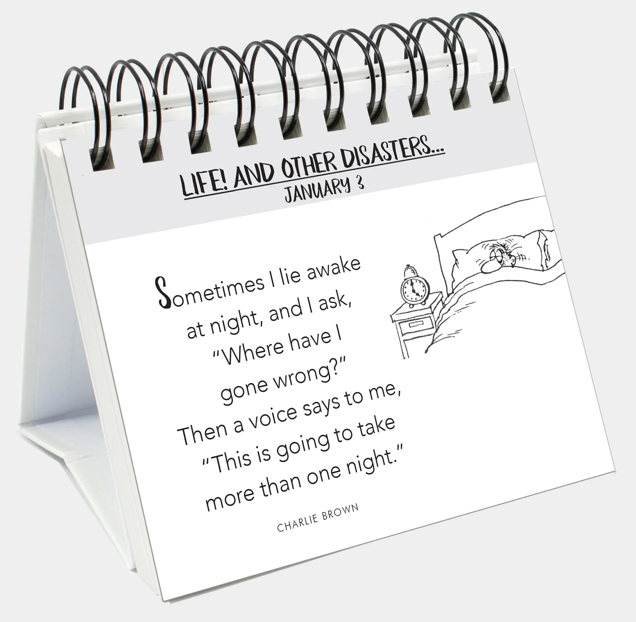 365 Life and Other Disasters - Page-A-Day Desk Easel Calendar