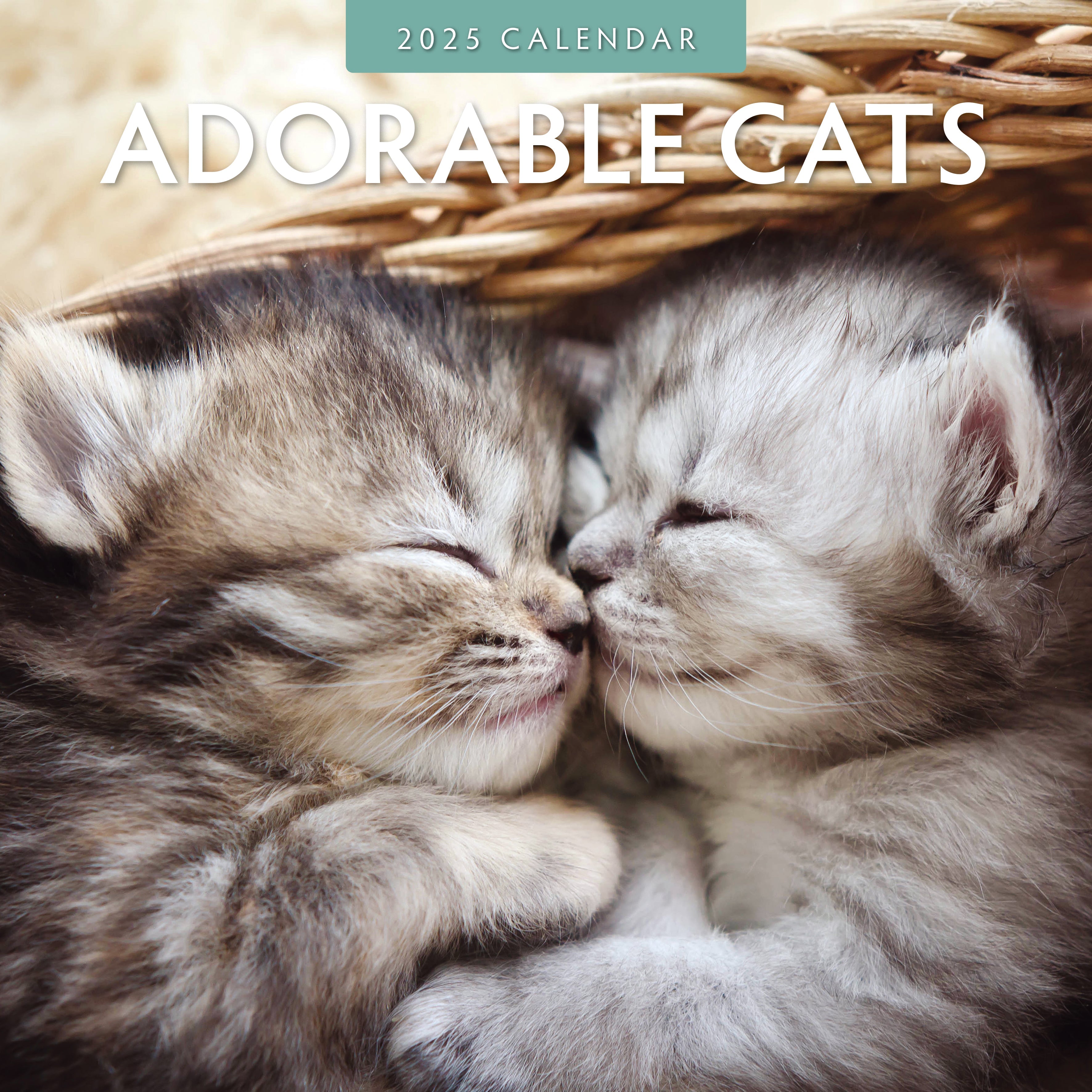 2025 Adorable Cats - Square Wall Calendar