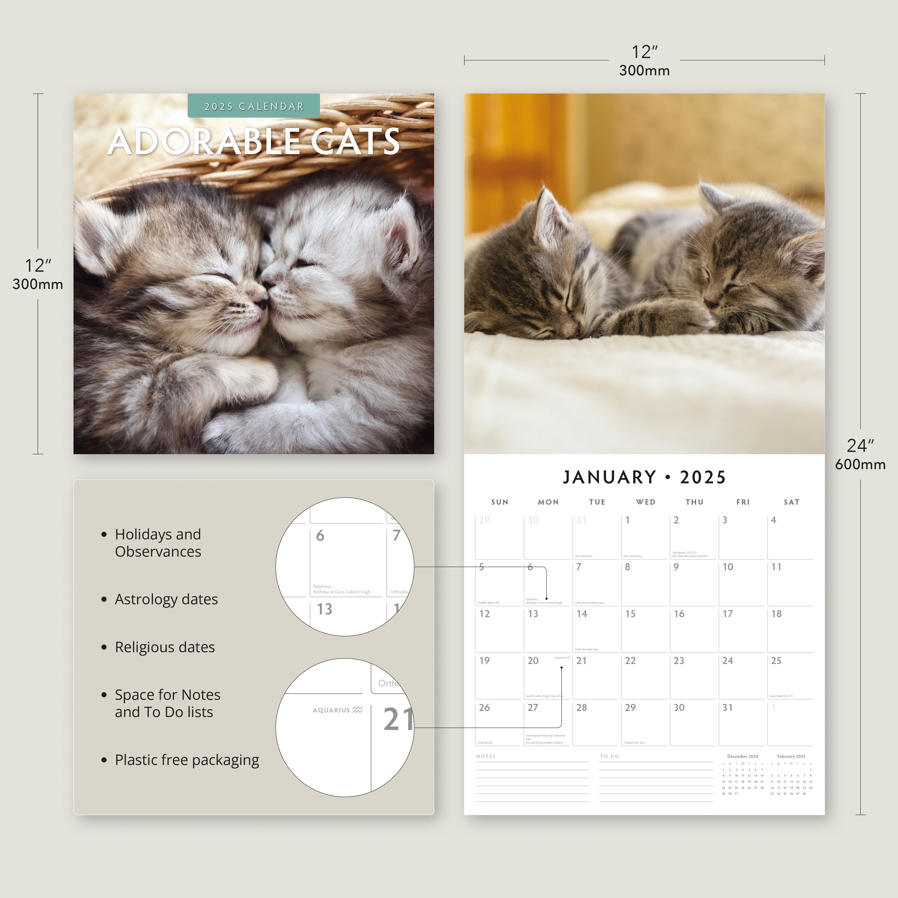 2025 Adorable Cats - Square Wall Calendar