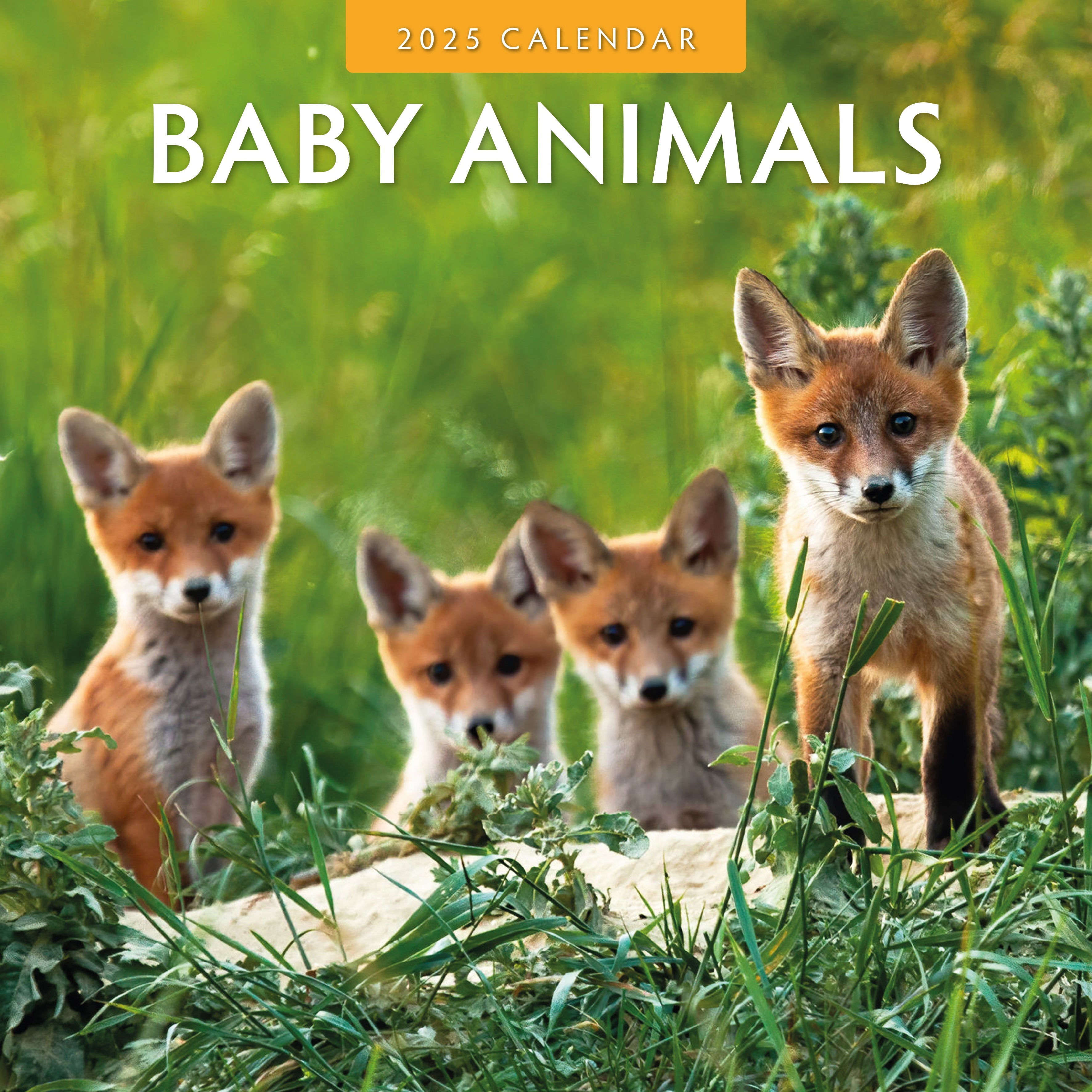 2025 Baby Animals - Square Wall Calendar