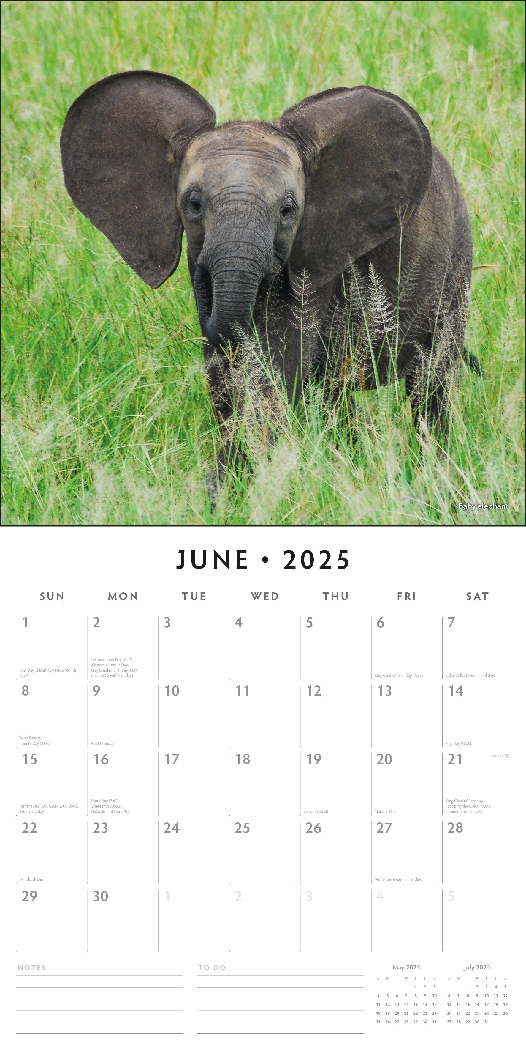 2025 Baby Animals - Square Wall Calendar