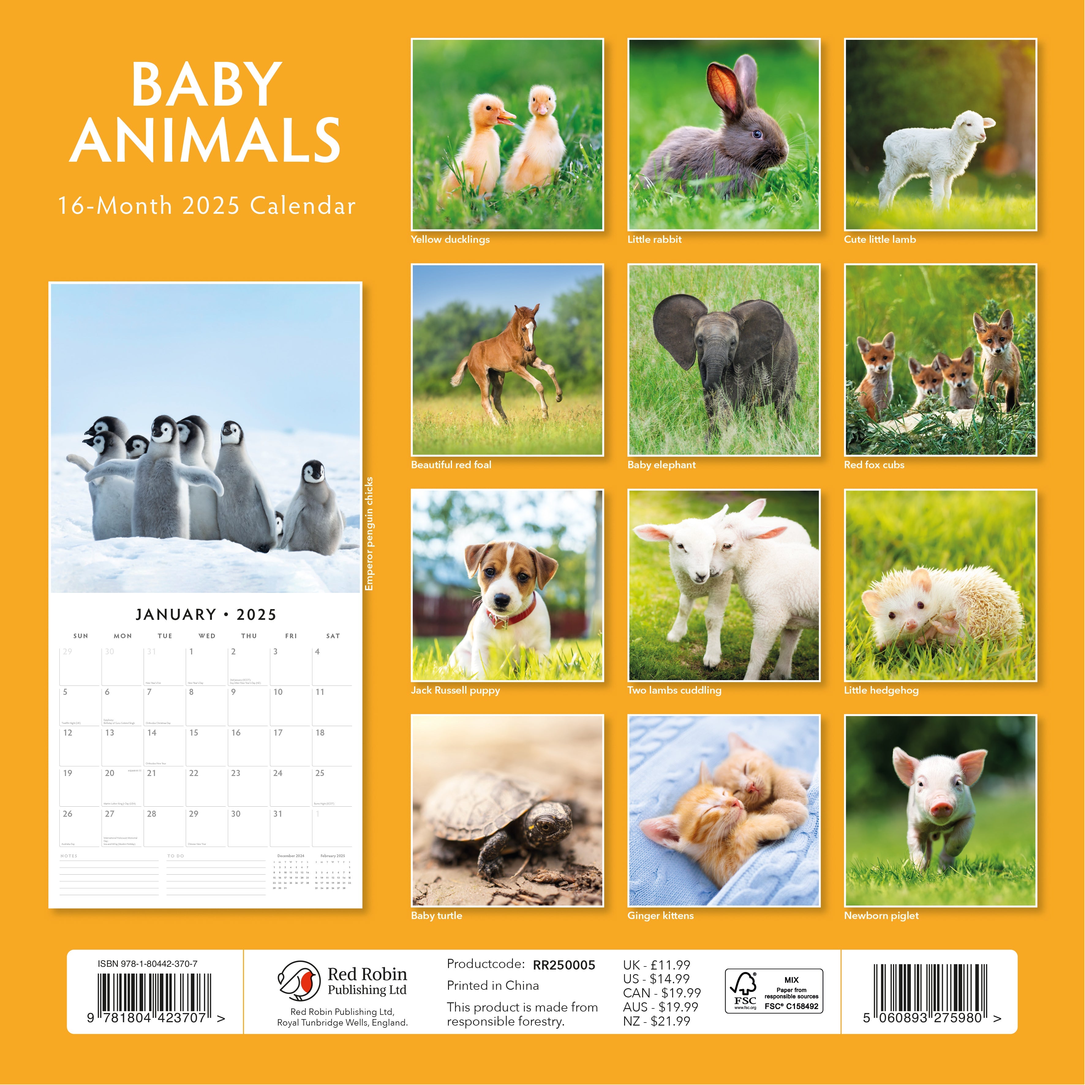 2025 Baby Animals - Square Wall Calendar