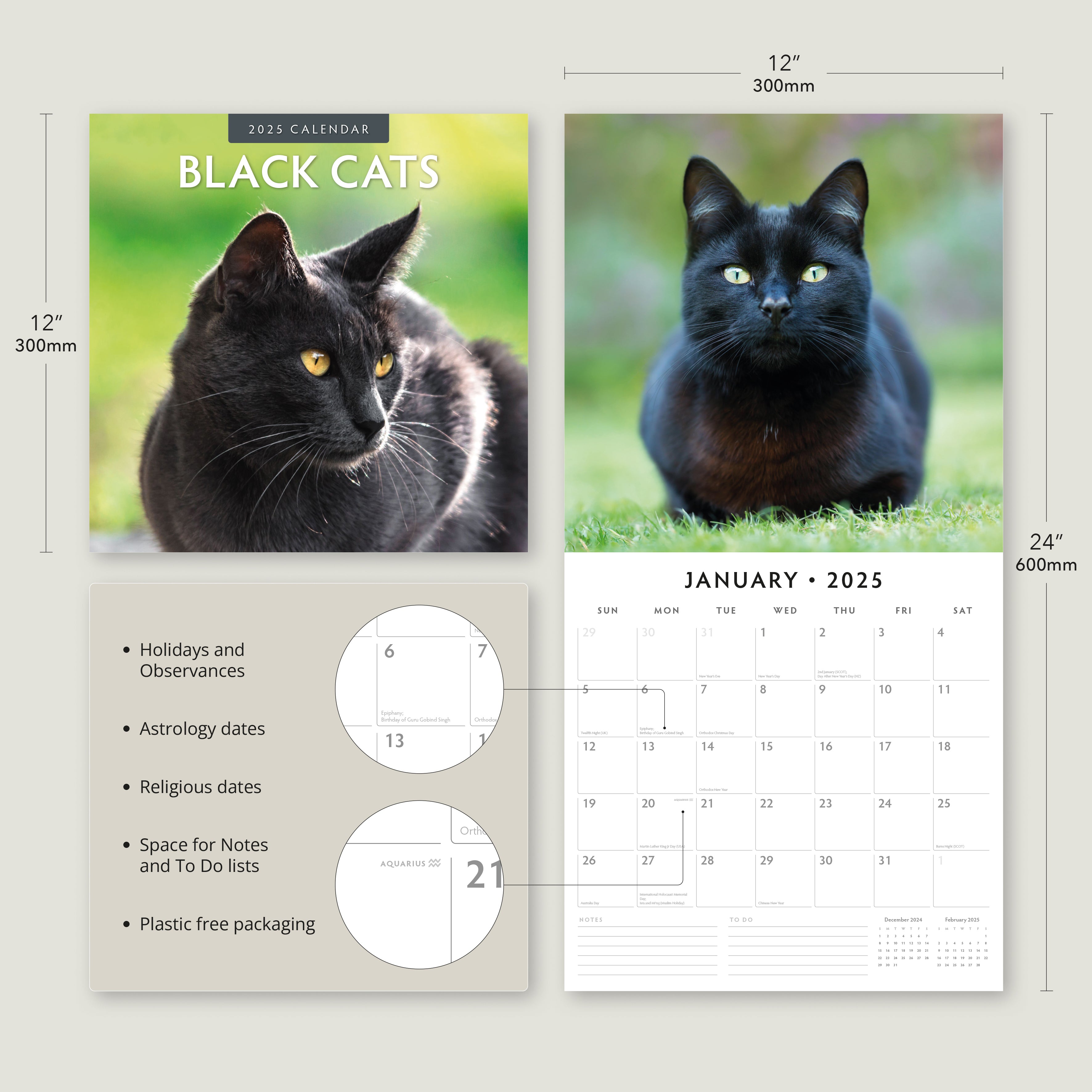 2025 Black Cats - Square Wall Calendar