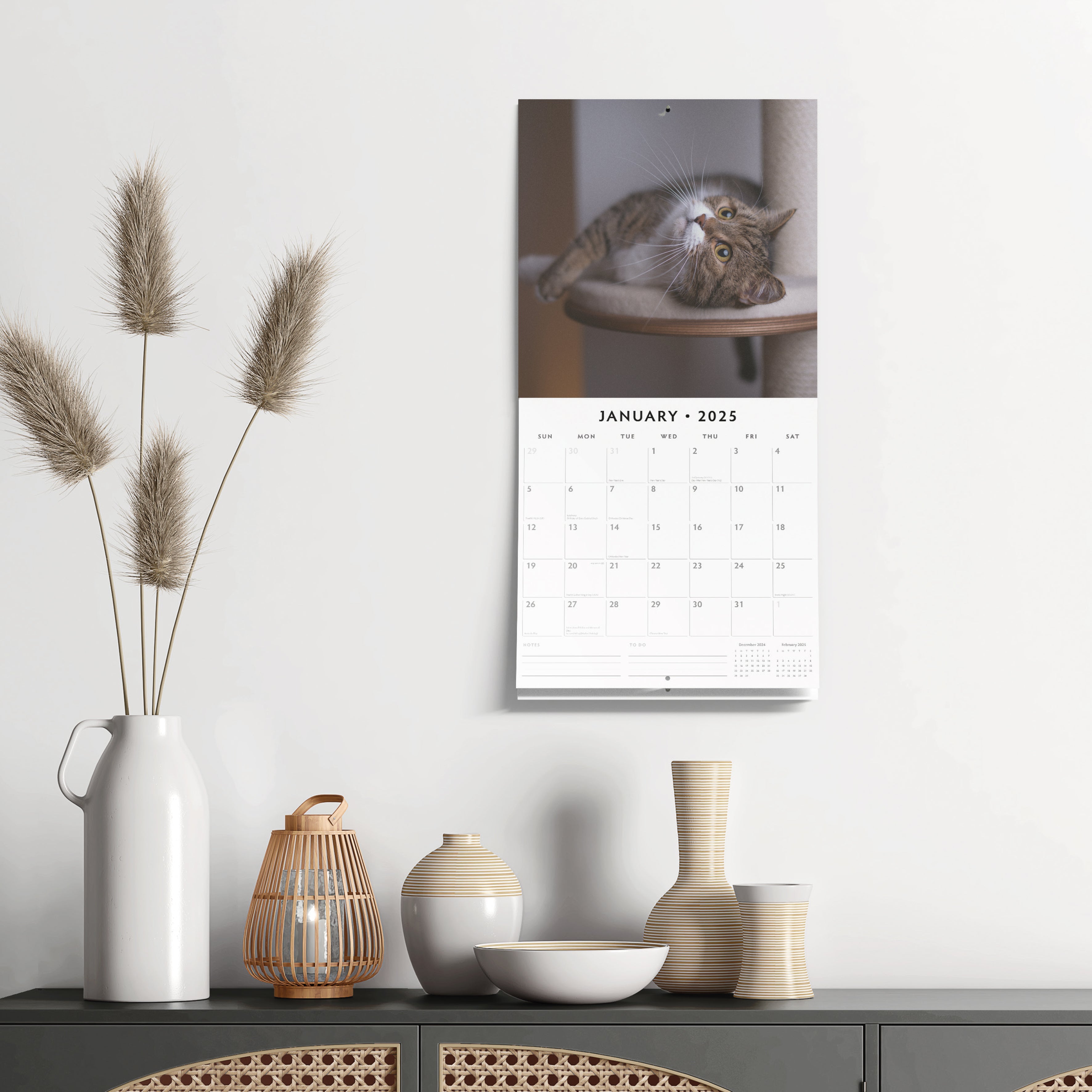 2025 British Shorthair Cats - Square Wall Calendar