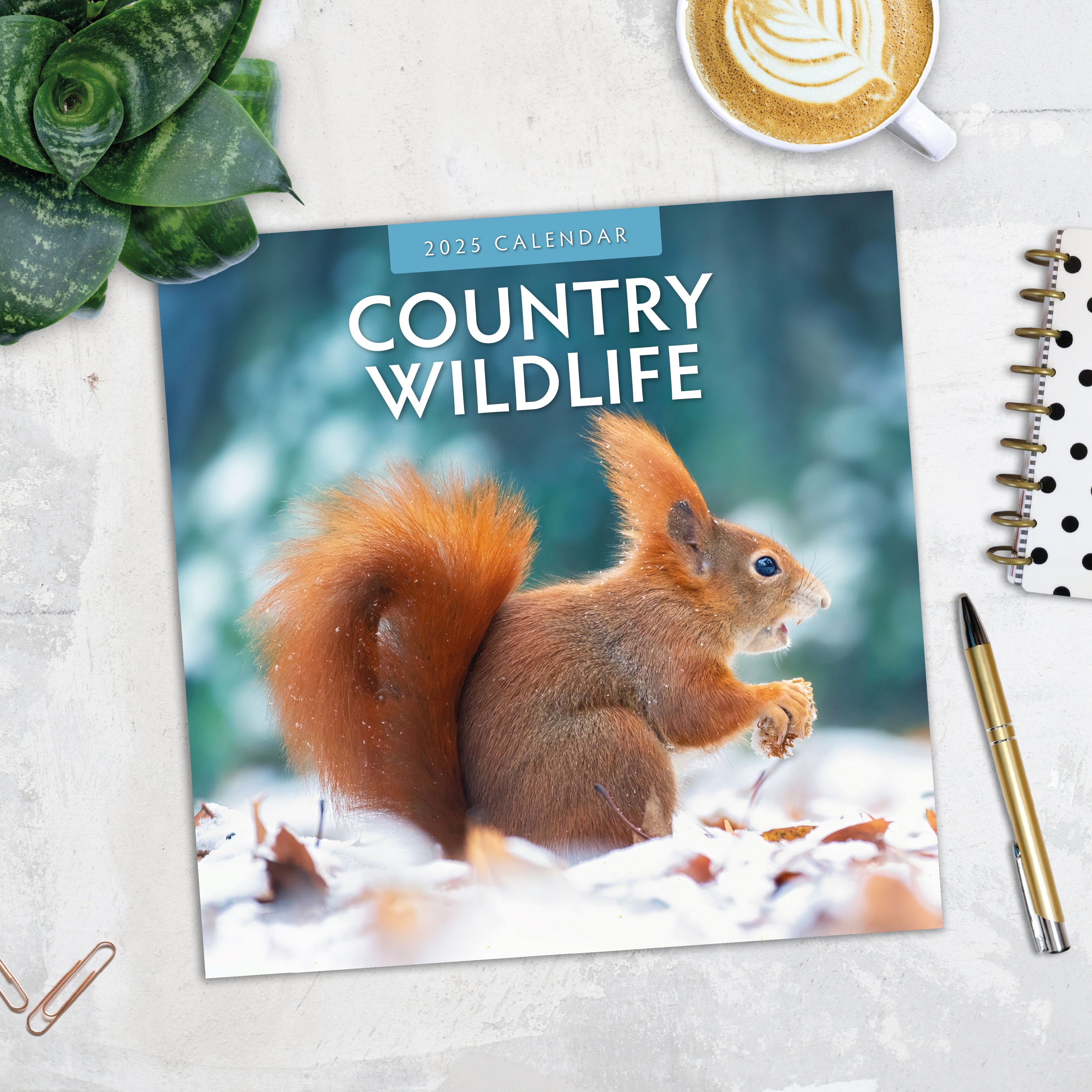 2025 Country Wildlife - Square Wall Calendar