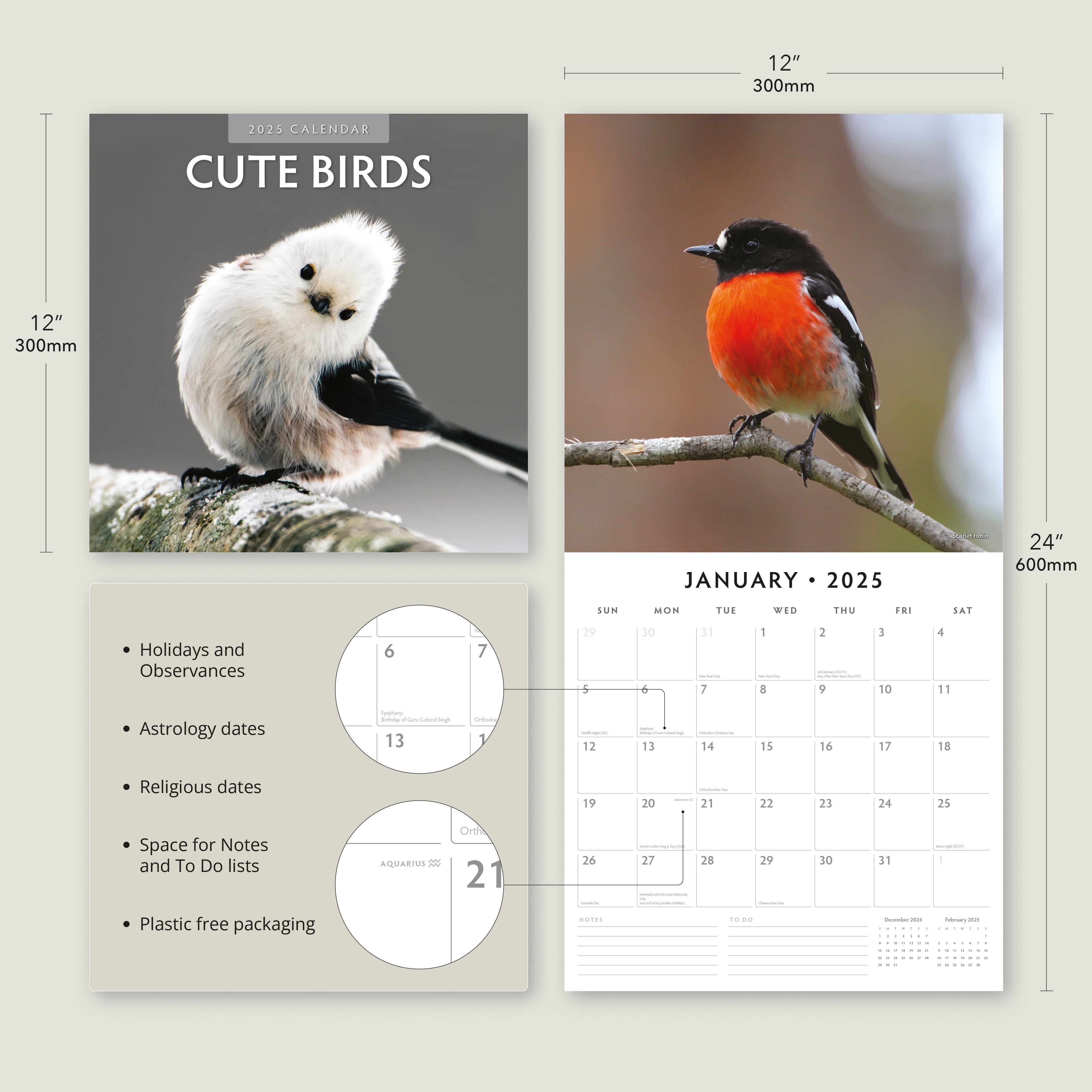 2025 Cute Birds - Square Wall Calendar