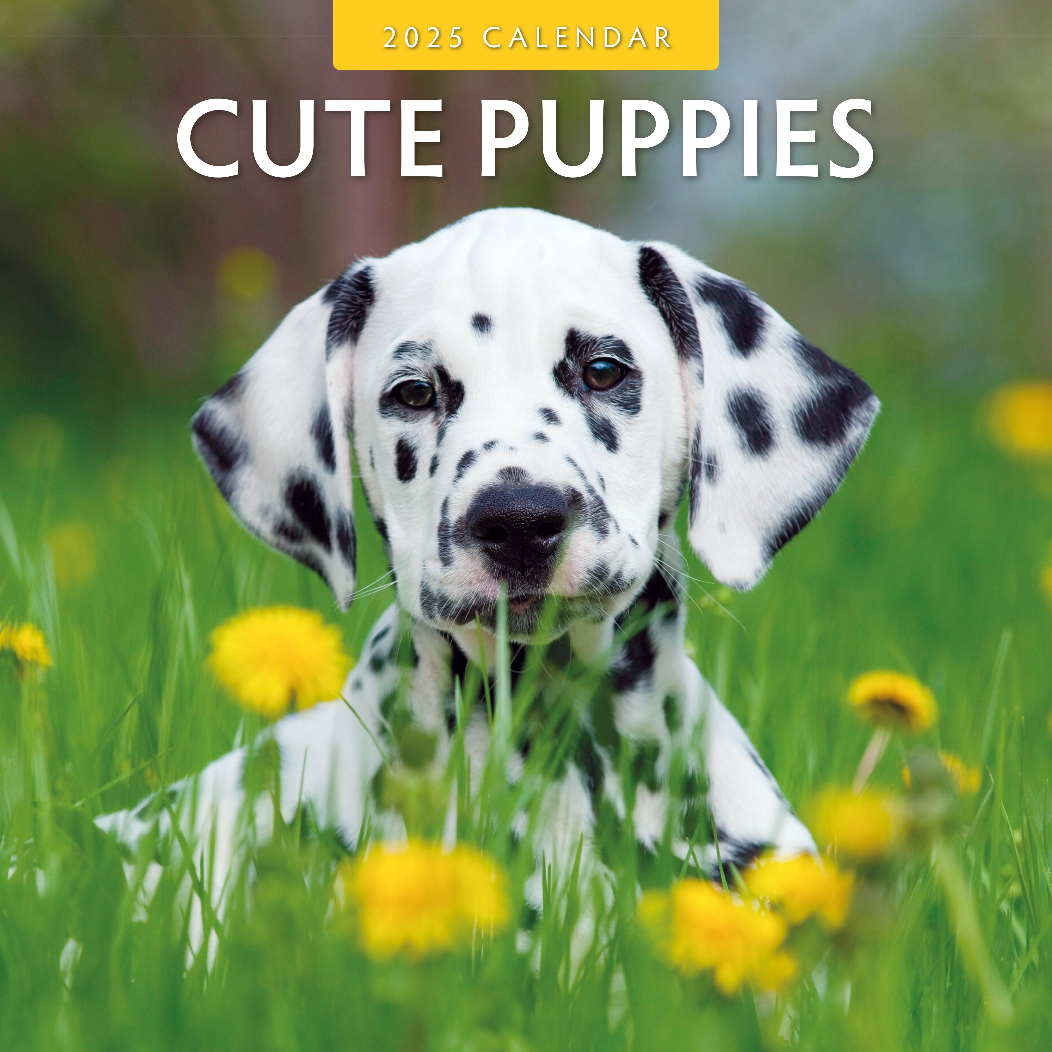 2025 Cute Puppies - Square Wall Calendar