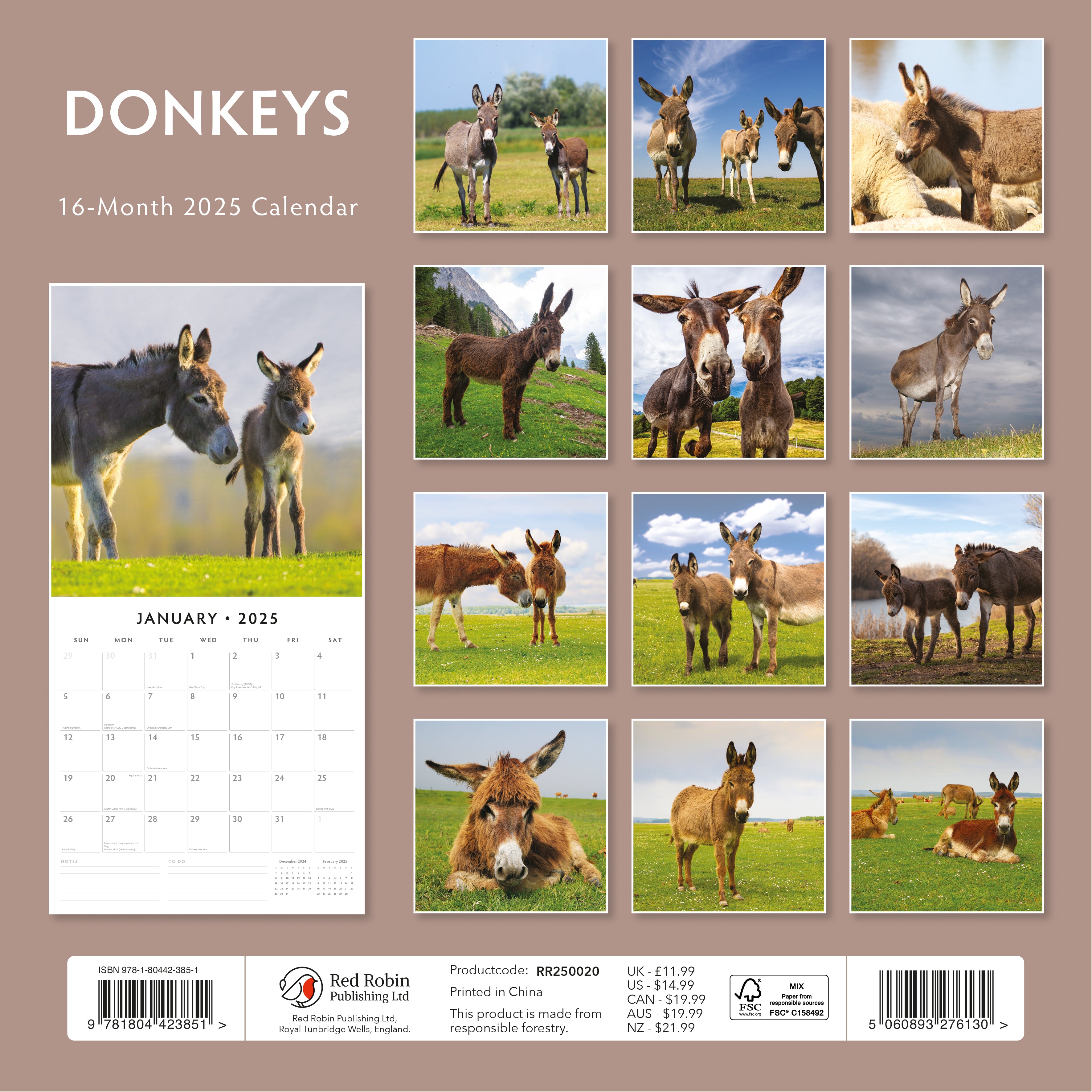 2025 Donkeys - Square Wall Calendar