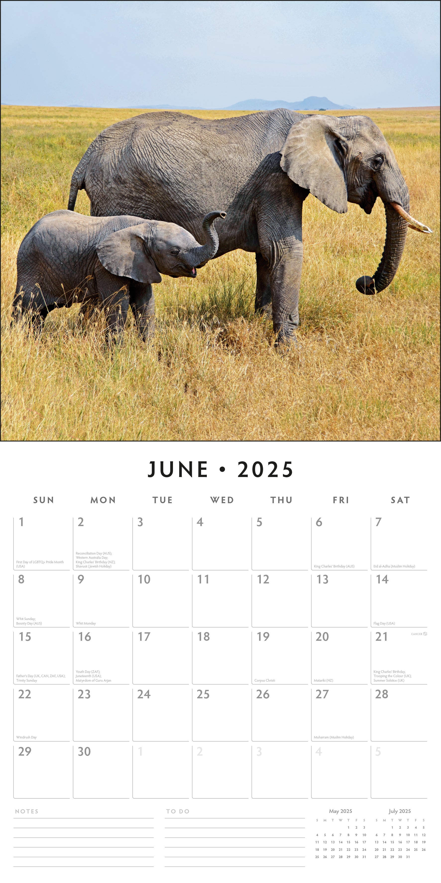 2025 Elephants - Square Wall Calendar