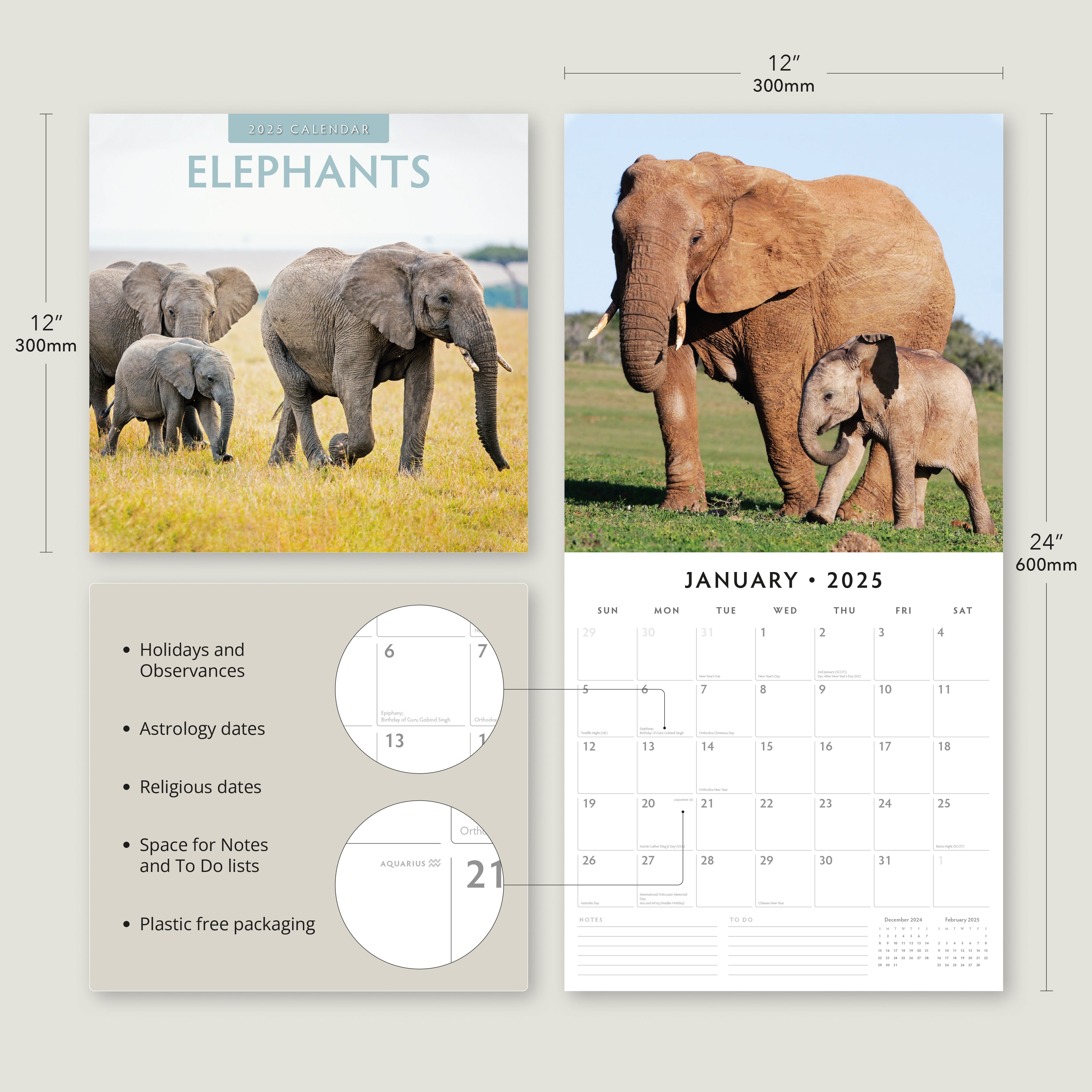 2025 Elephants - Square Wall Calendar