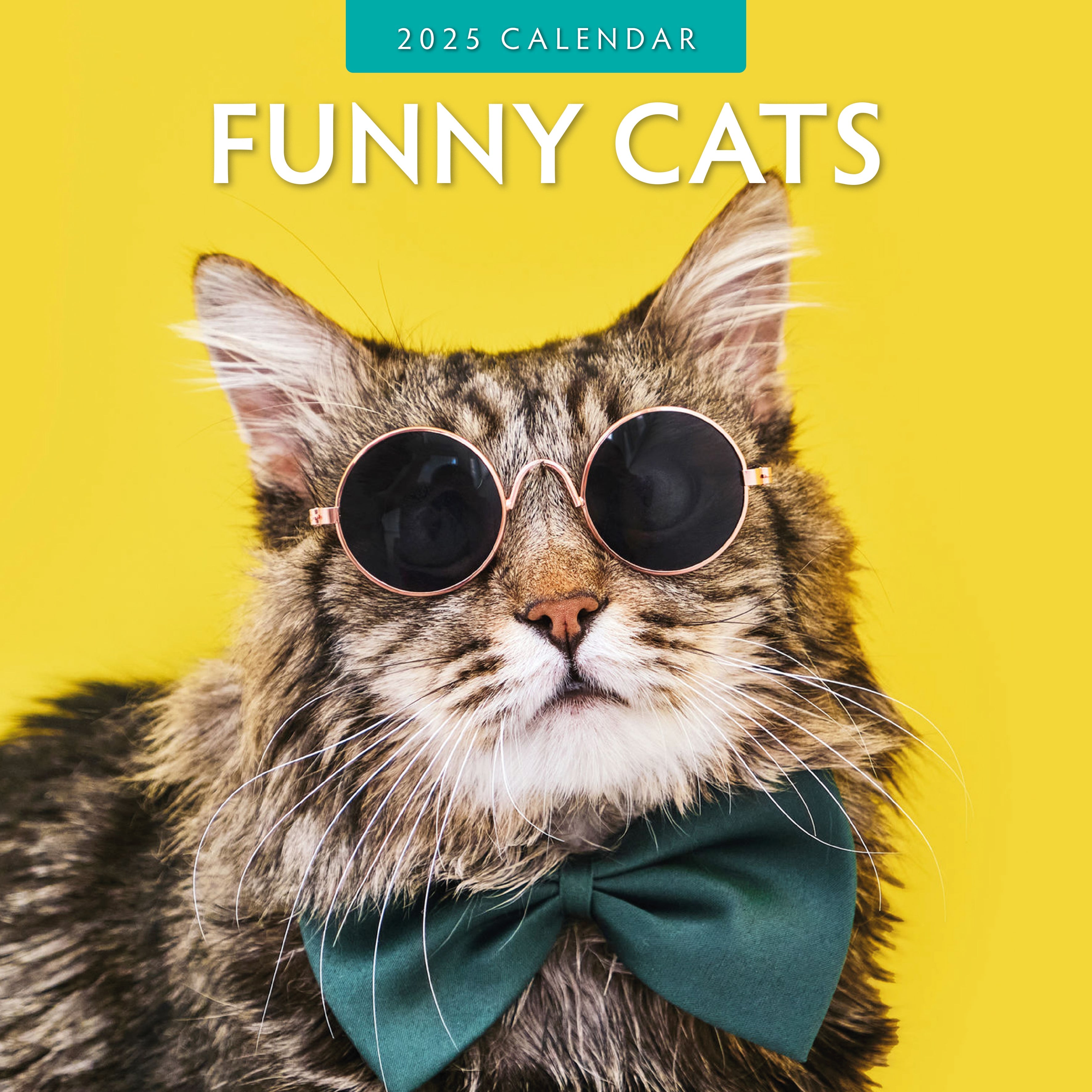 2025 Funny Cats - Square Wall Calendar