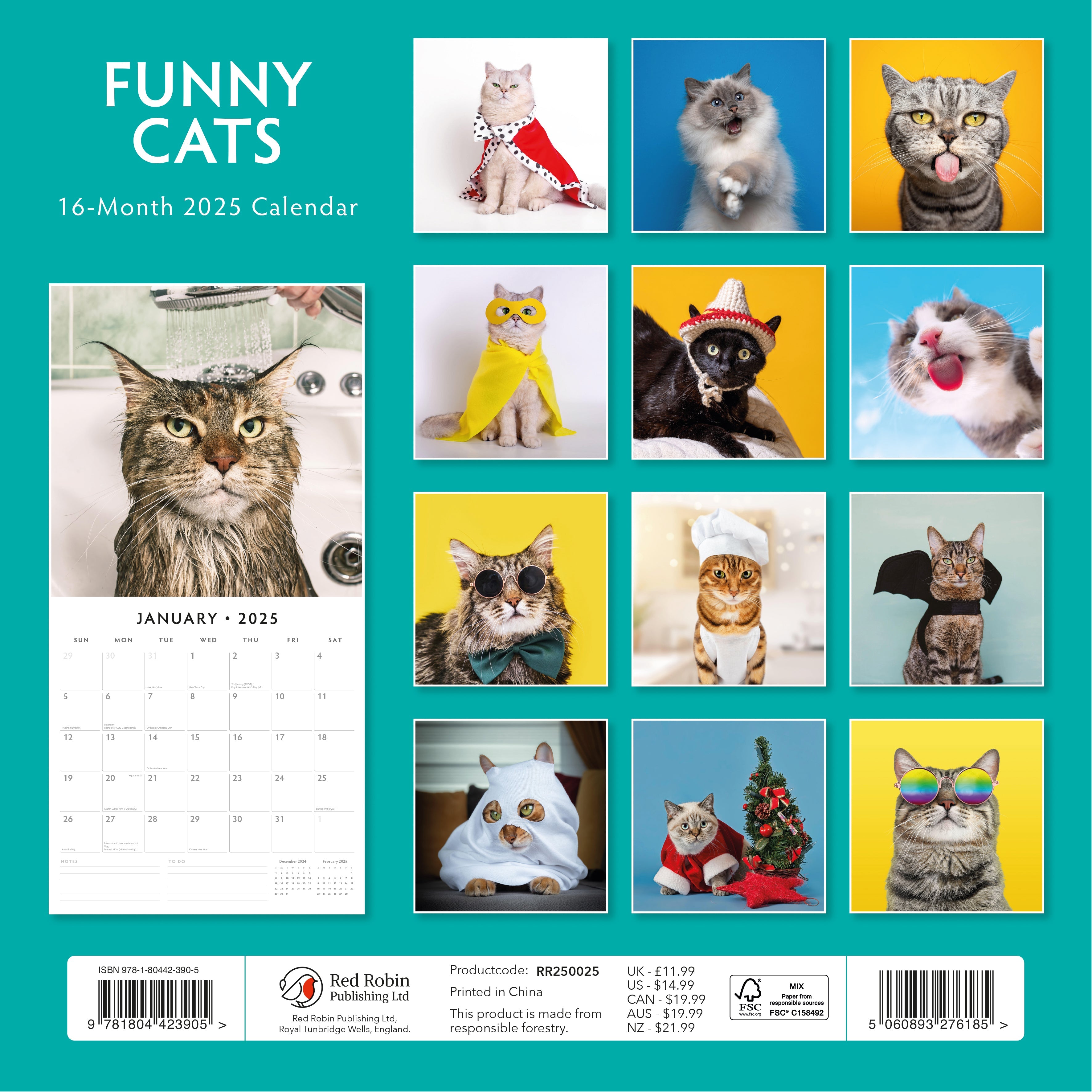 2025 Funny Cats - Square Wall Calendar